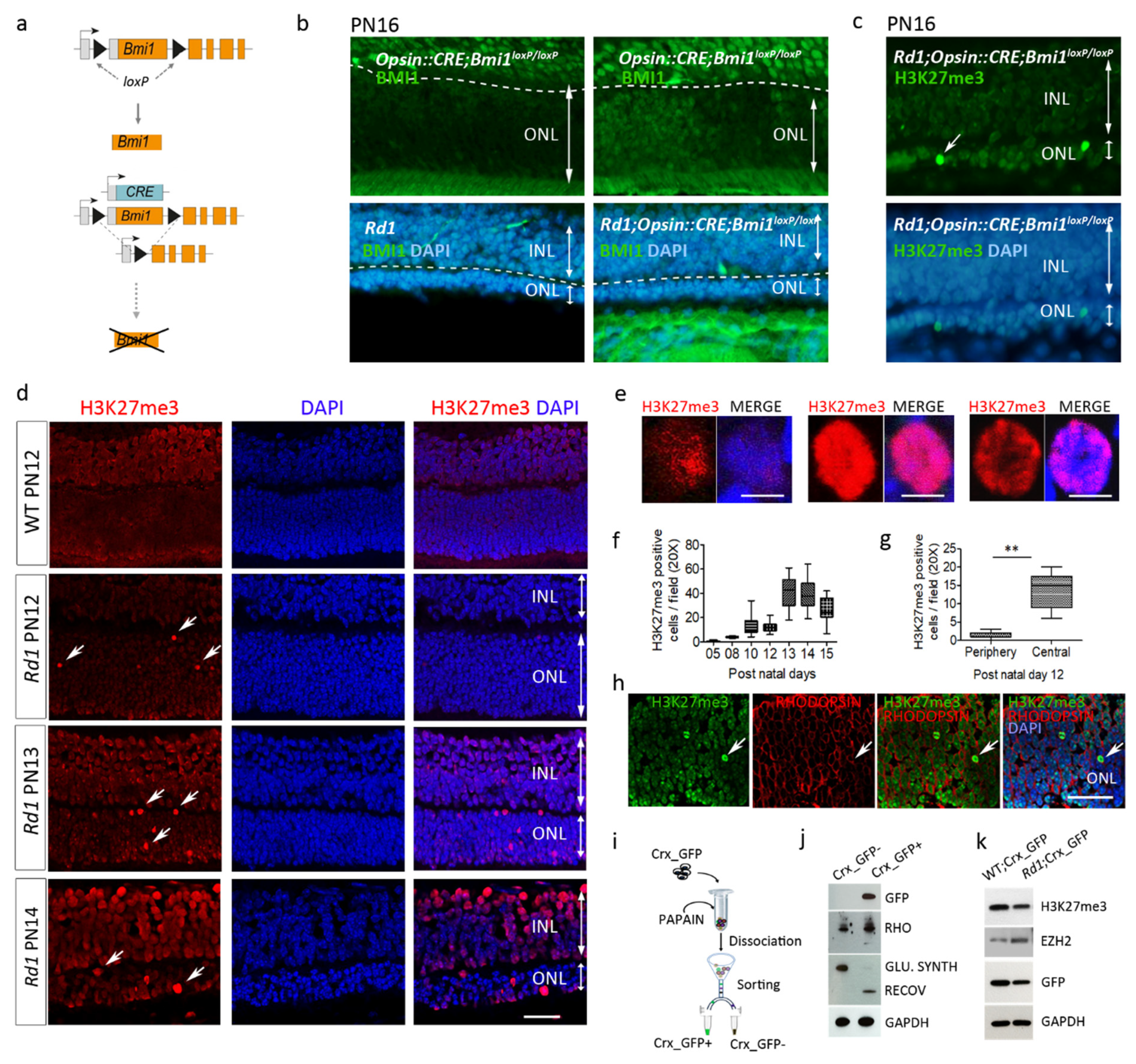 Ijms 22 09331 g001 550