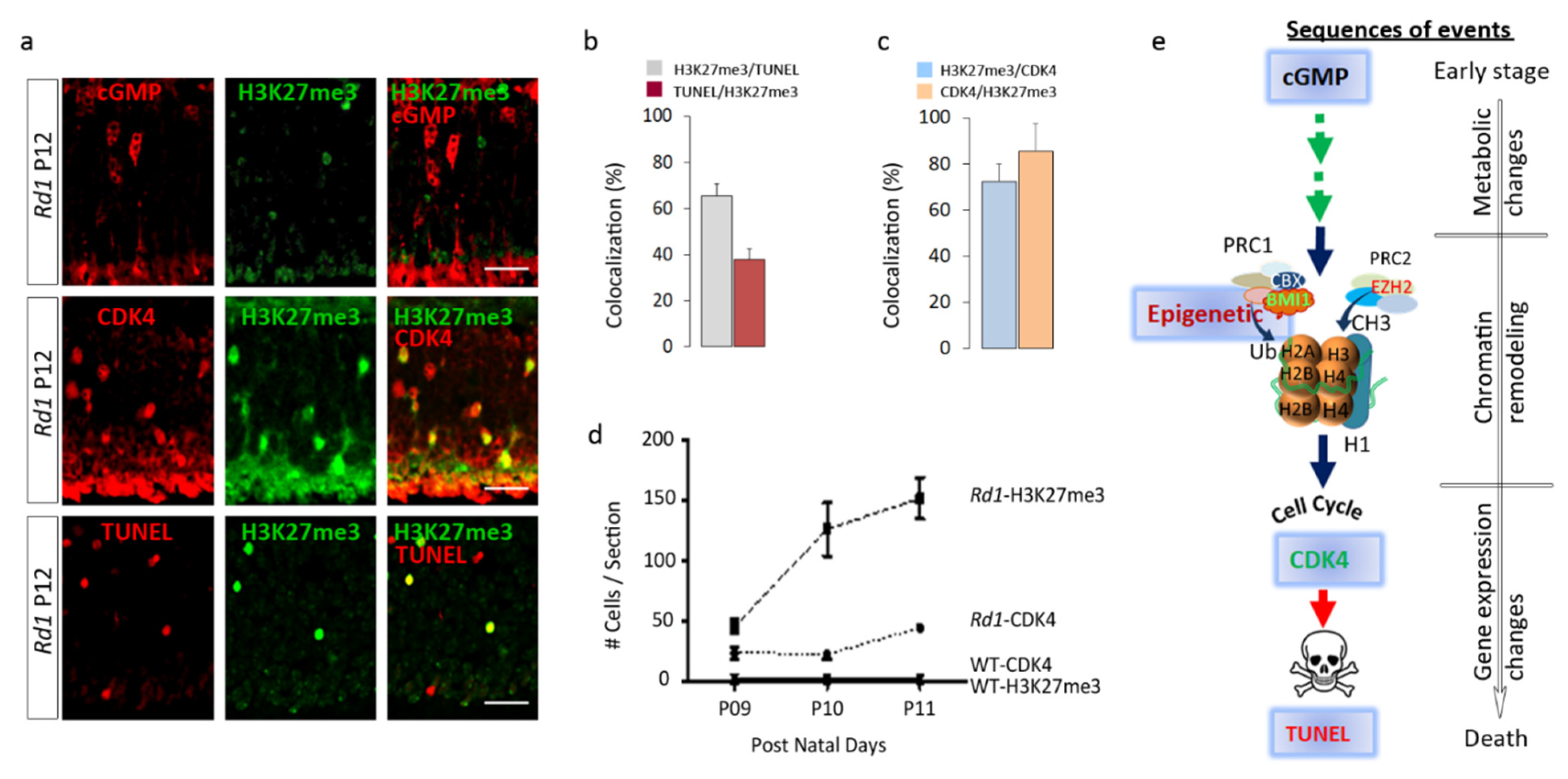 Ijms 22 09331 g003 550