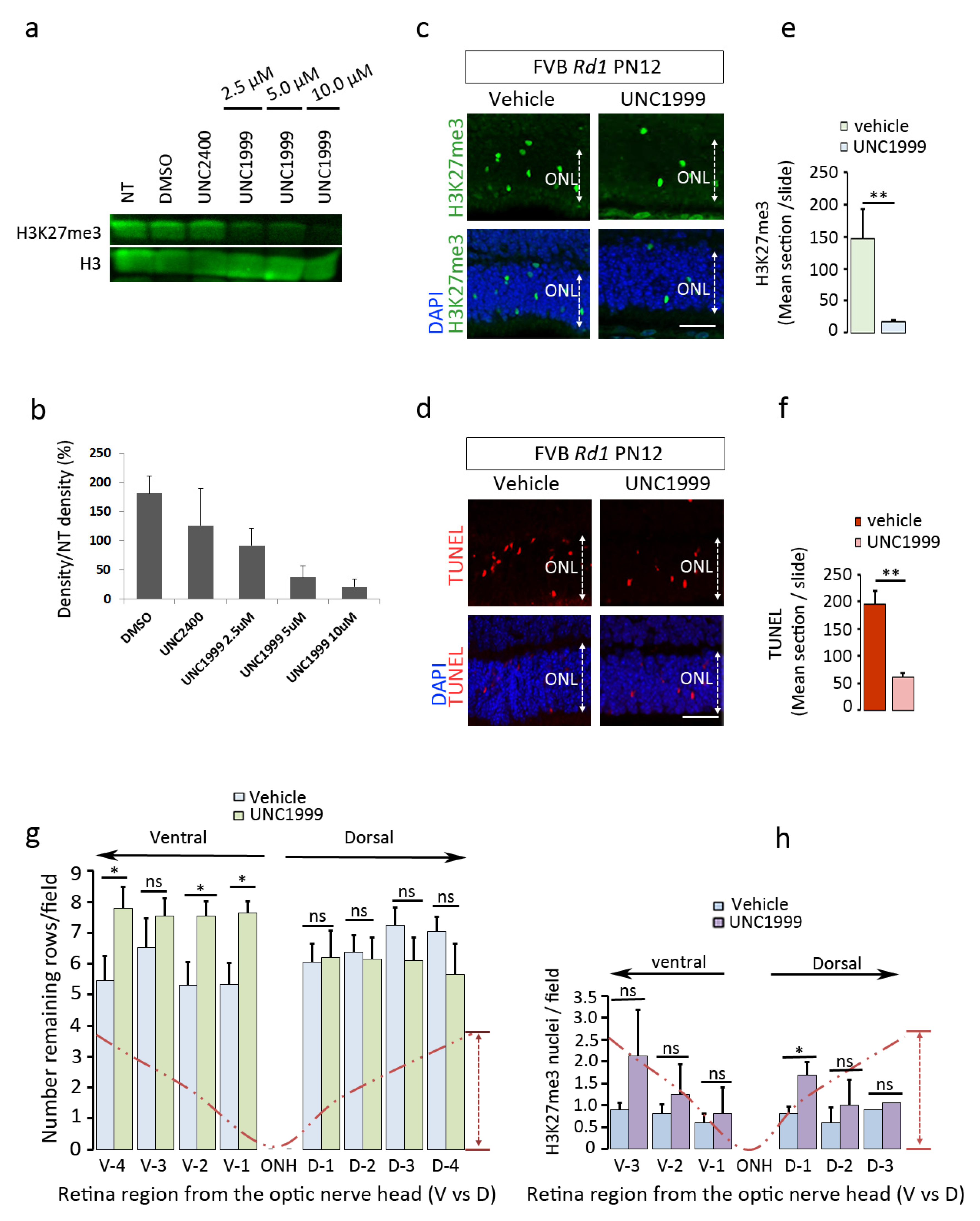 Ijms 22 09331 g004 550