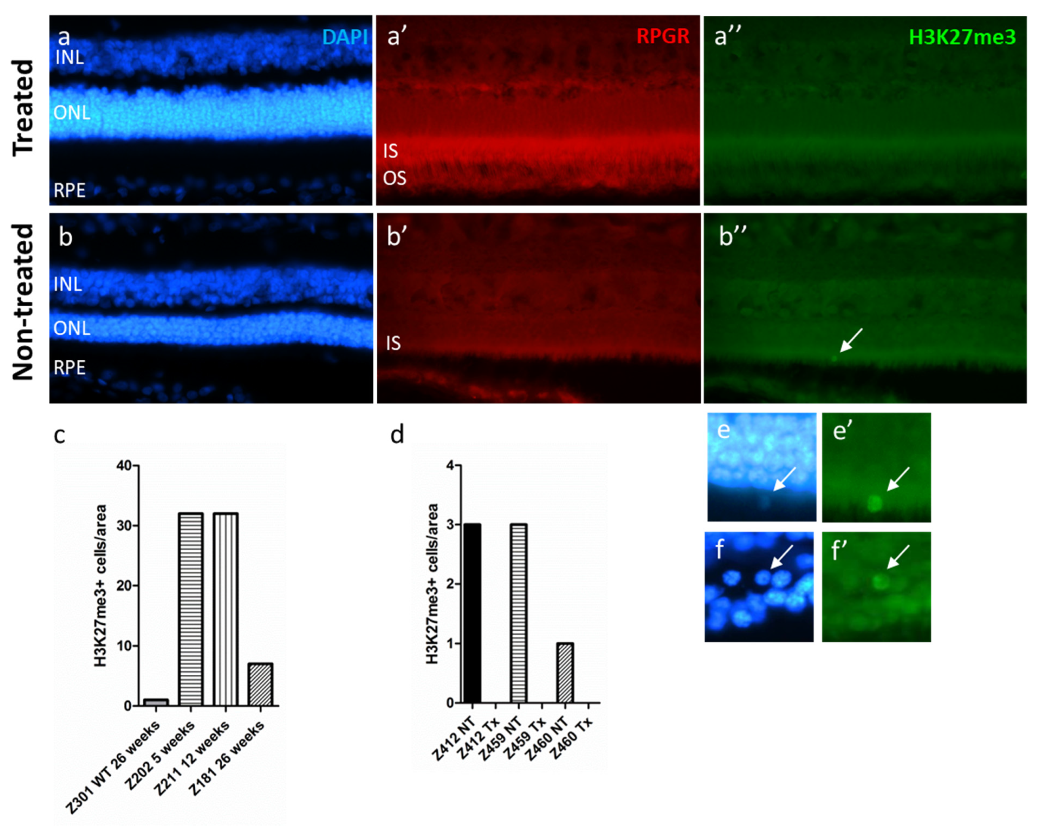 Ijms 22 09331 g005 550