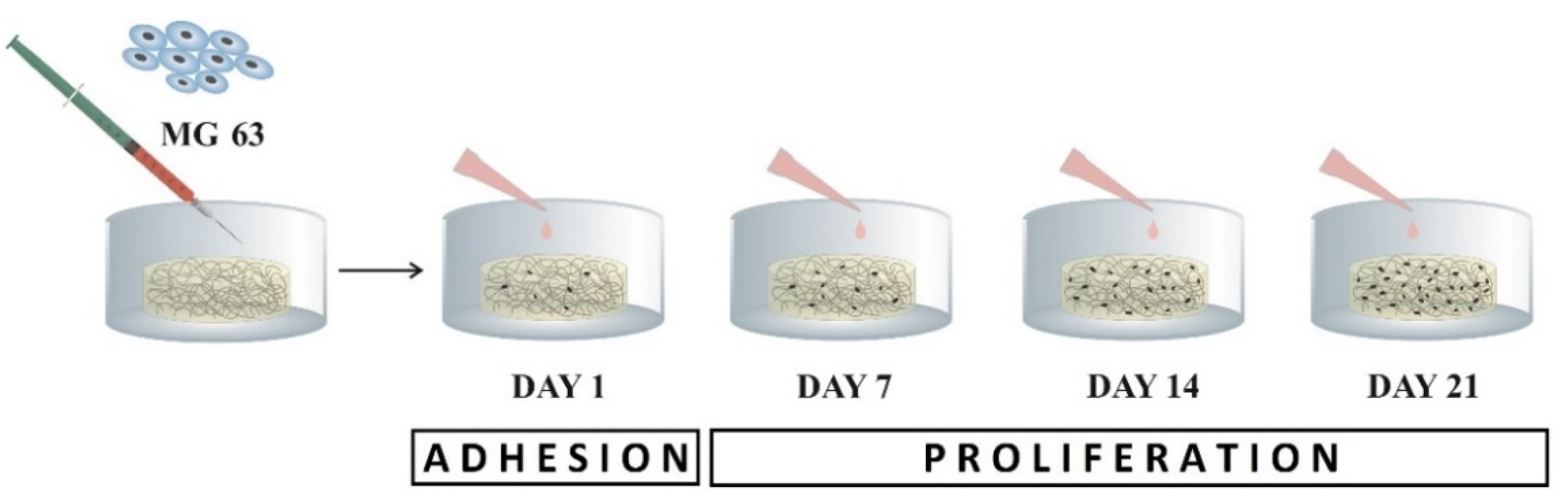 Ijms 22 09335 g007 550