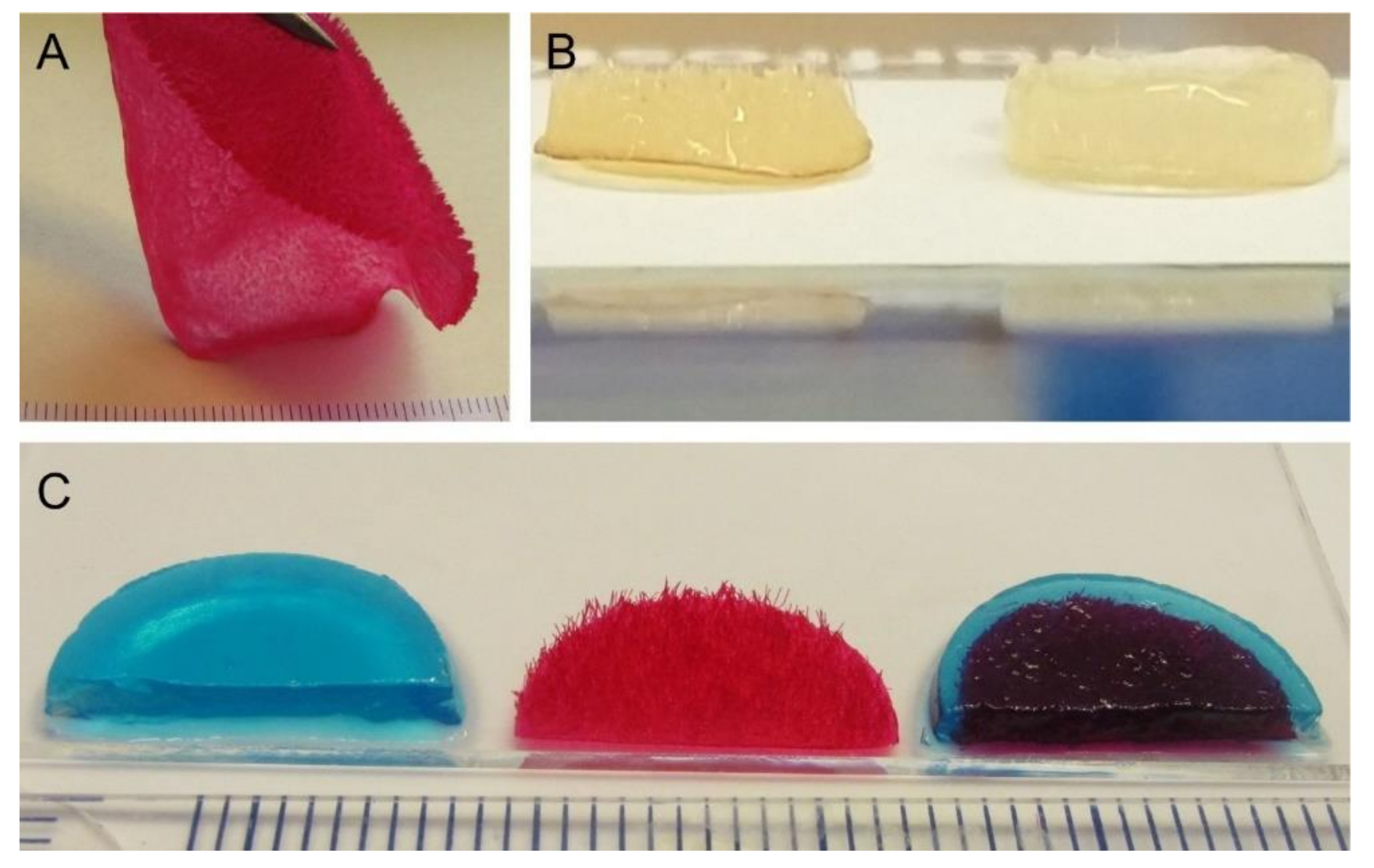 Ijms 22 09341 g002 550