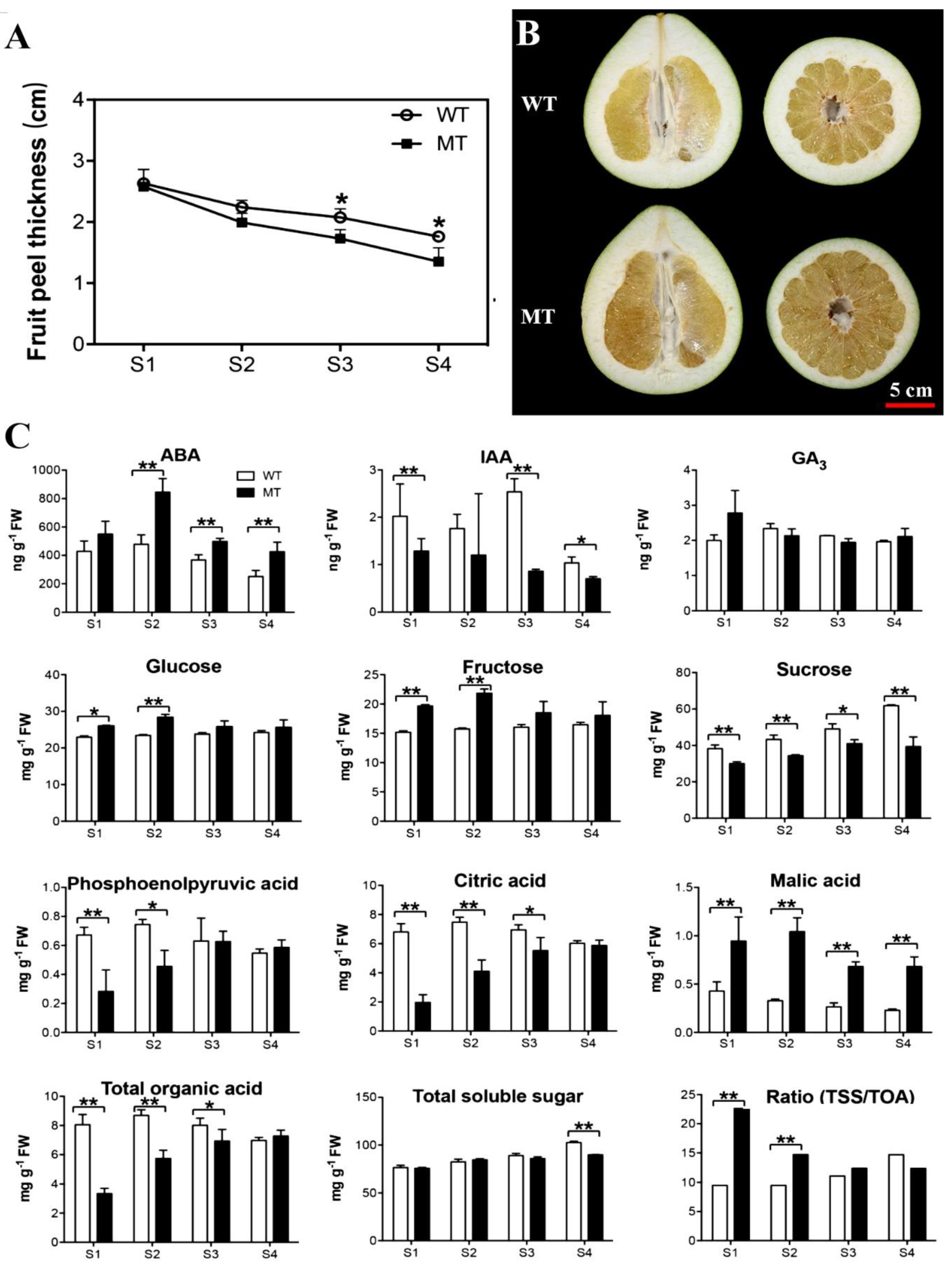 Ijms 22 09348 g001 550