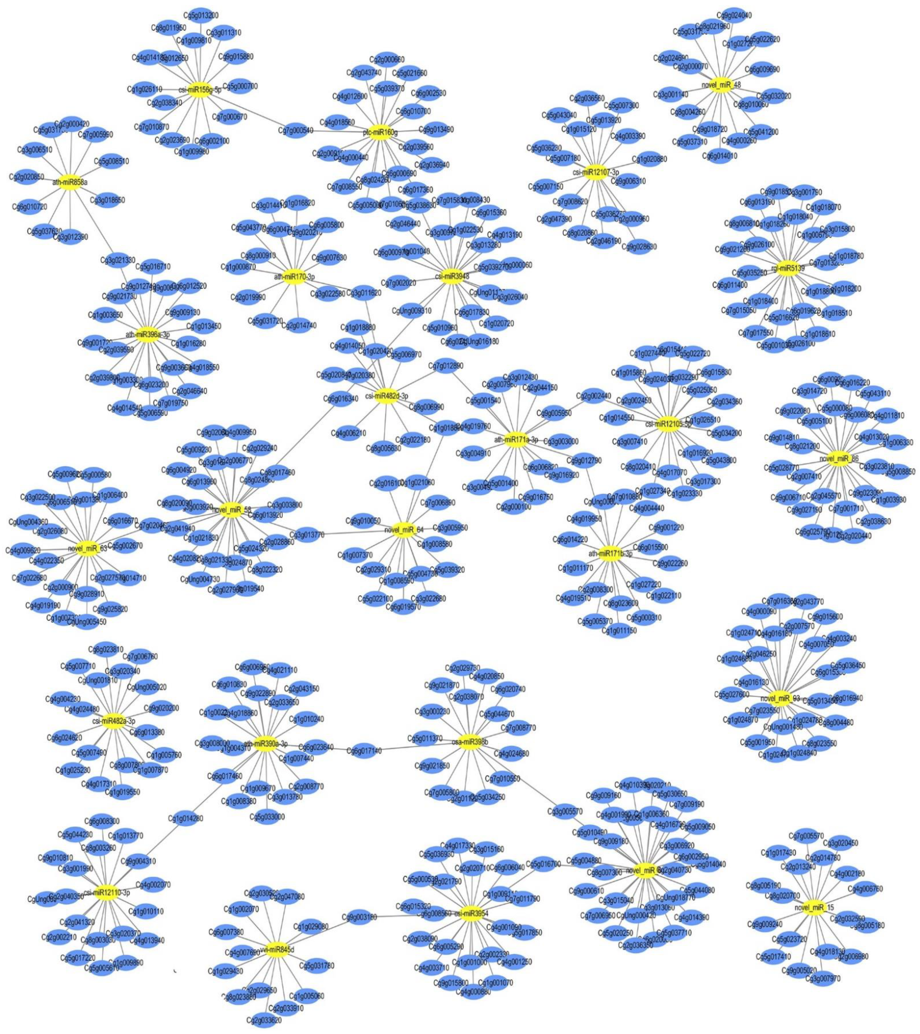 Ijms 22 09348 g005 550