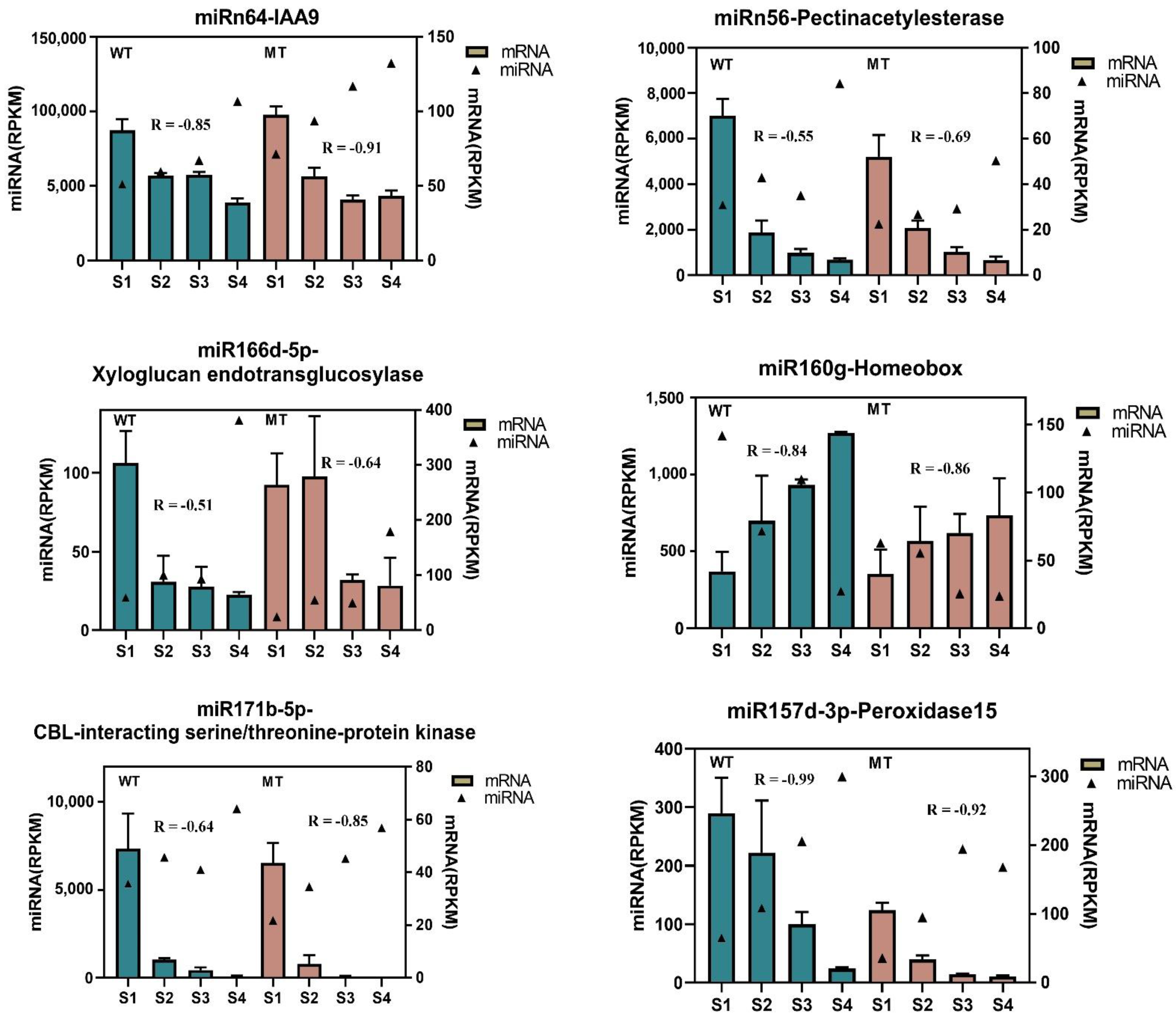 Ijms 22 09348 g006 550