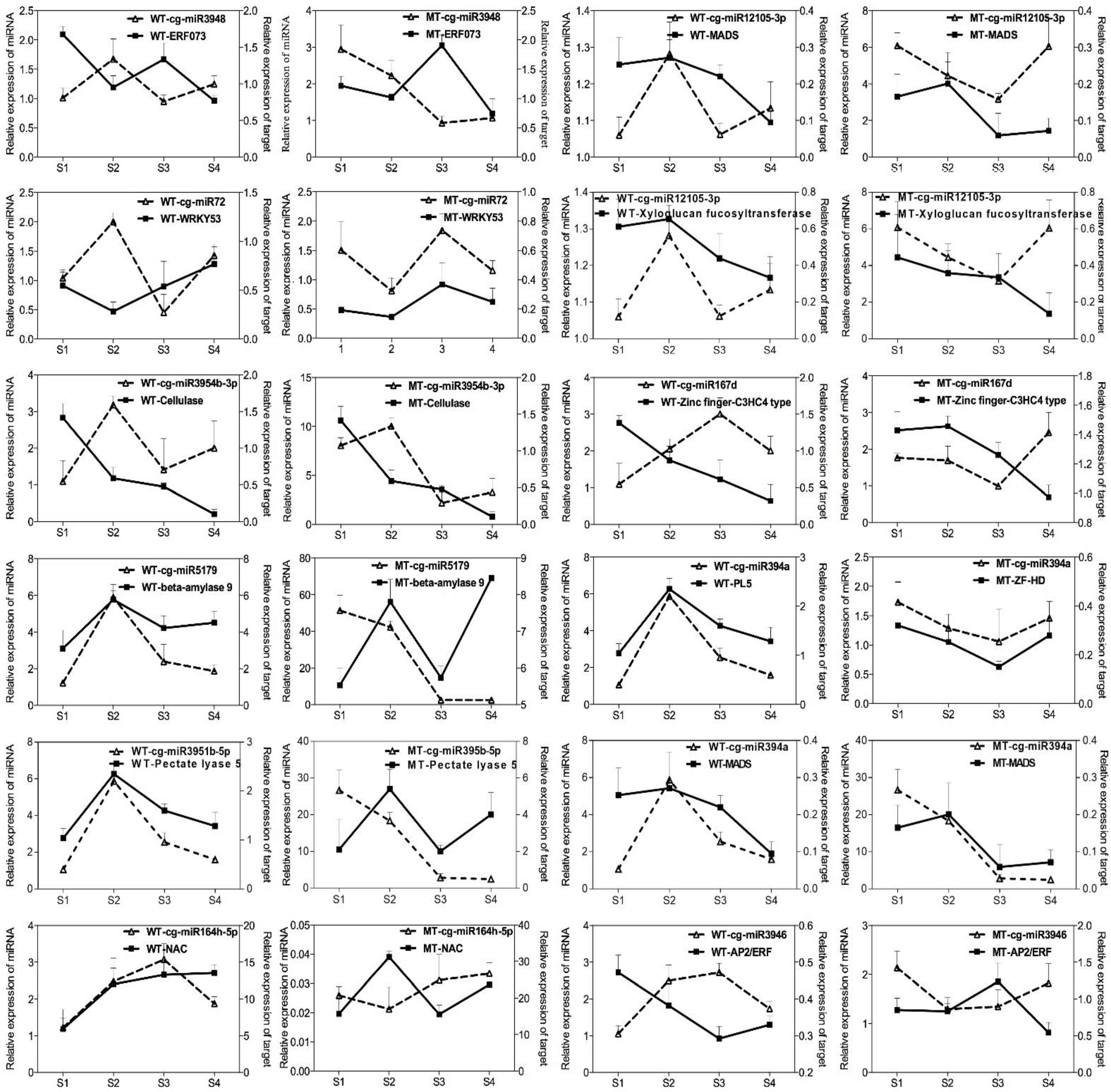 Ijms 22 09348 g007 550