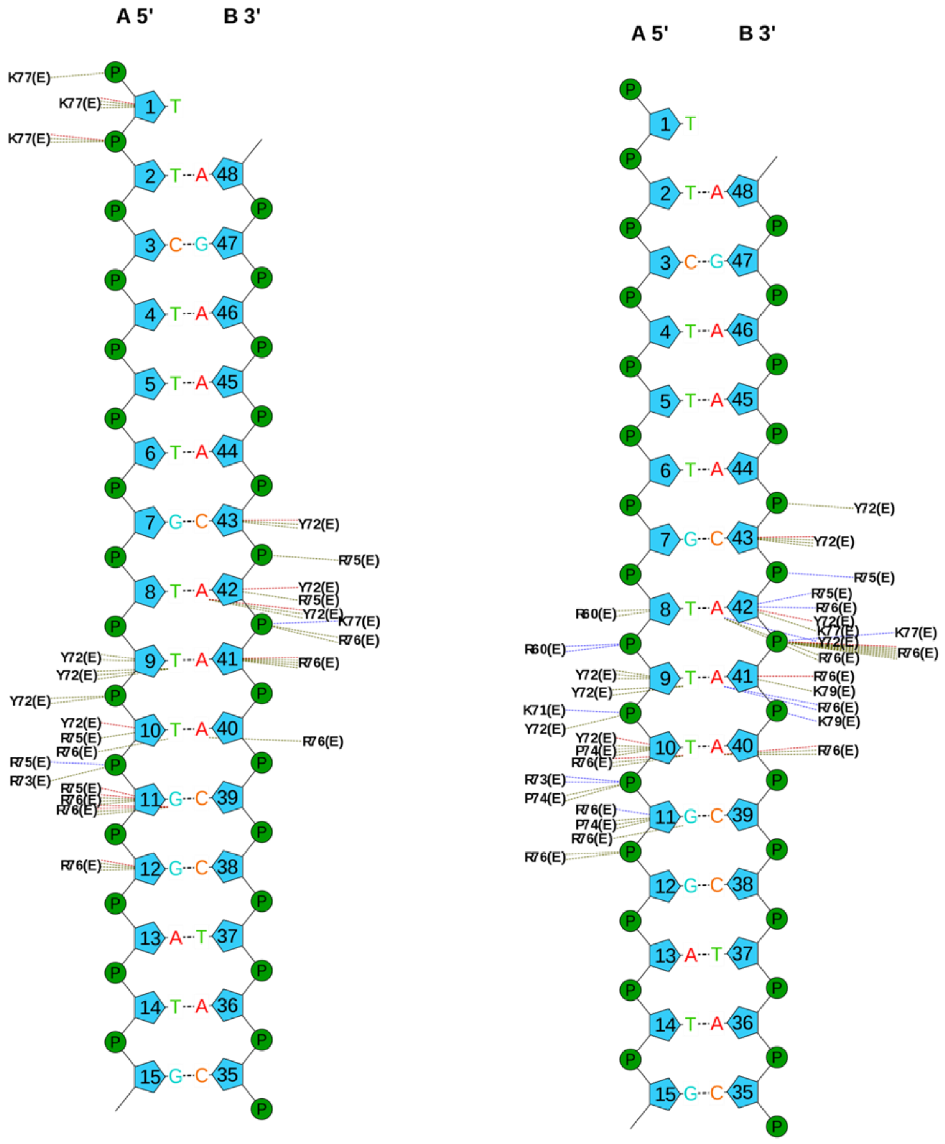 Ijms 22 09354 g007 Ijms 22 09354 g007