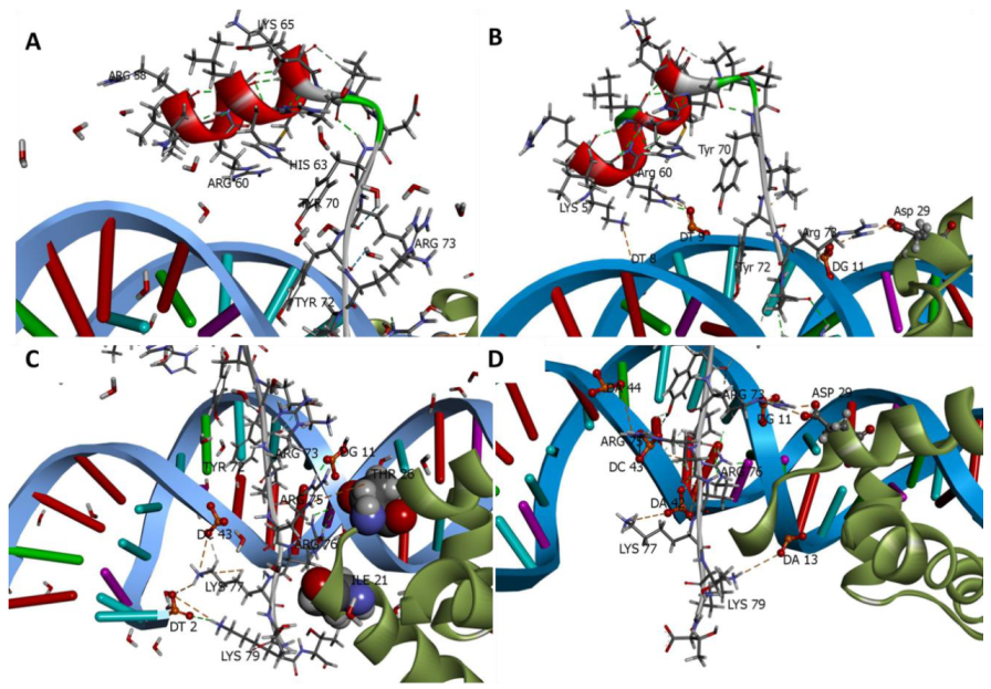 Ijms 22 09354 g008 Ijms 22 09354 g008