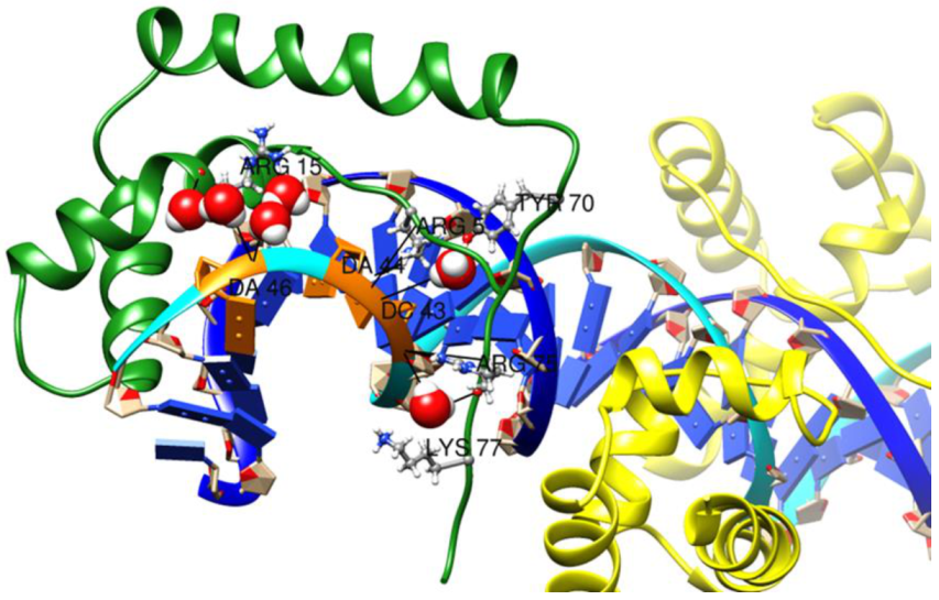 Ijms 22 09354 g010 Ijms 22 09354 g010