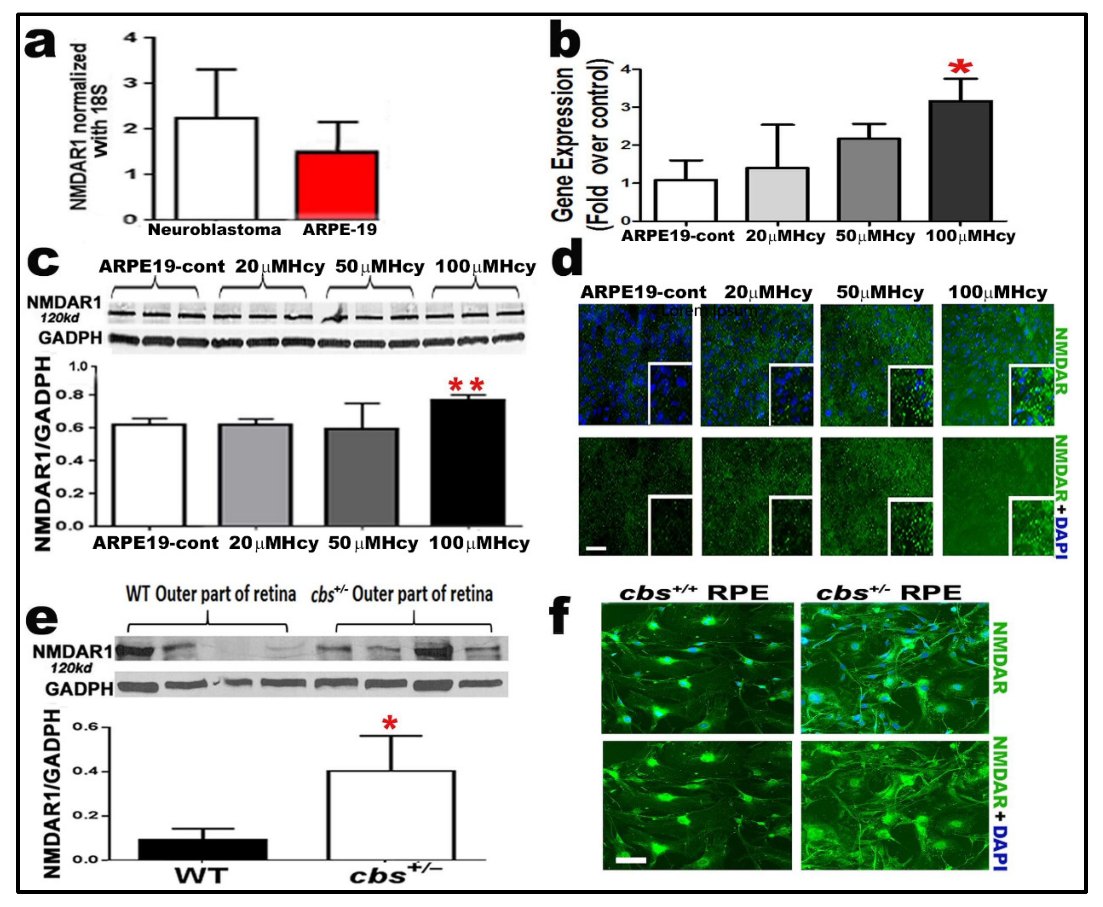 Ijms 22 09356 g003 Ijms 22 09356 g003