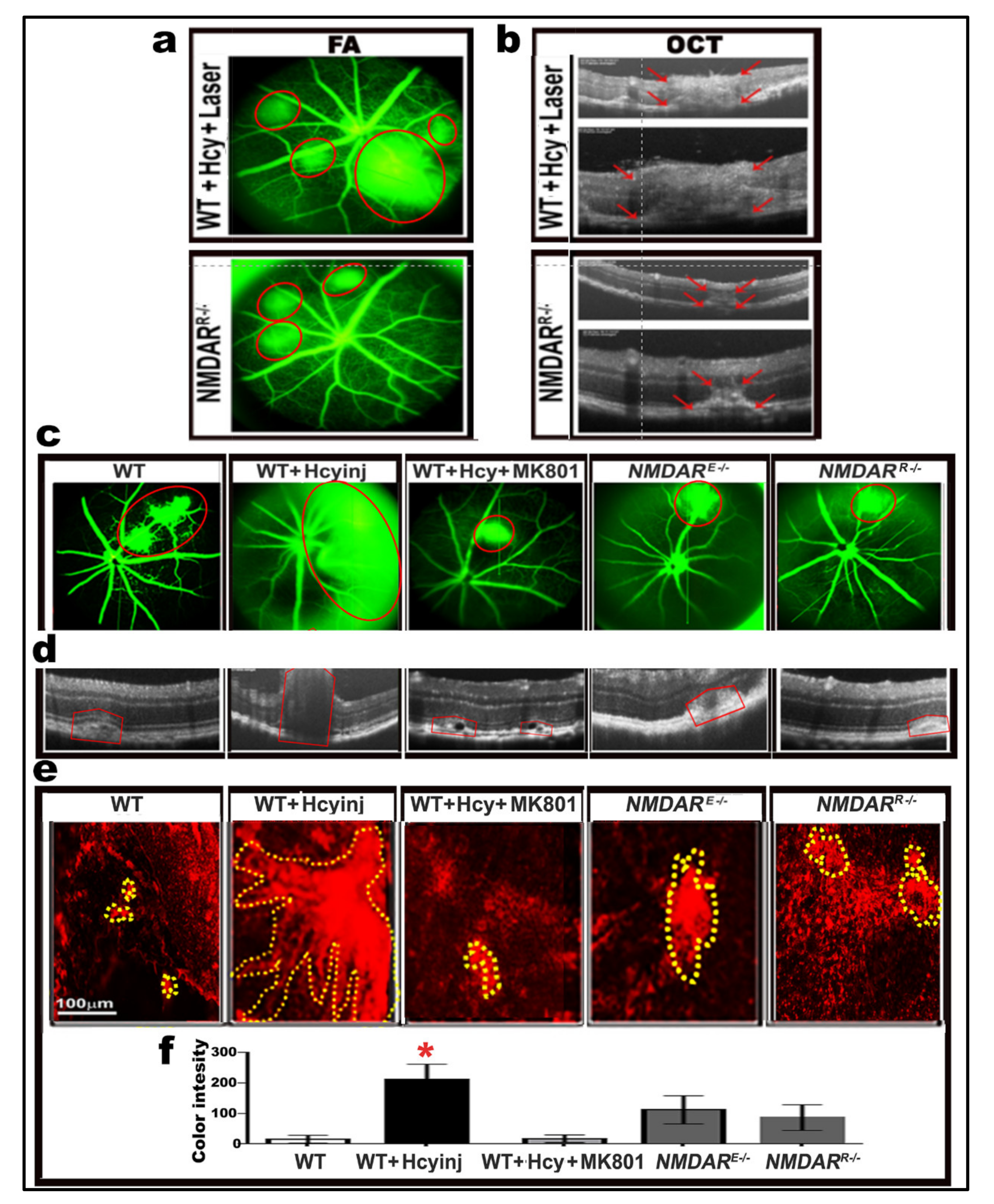 Ijms 22 09356 g007 Ijms 22 09356 g007