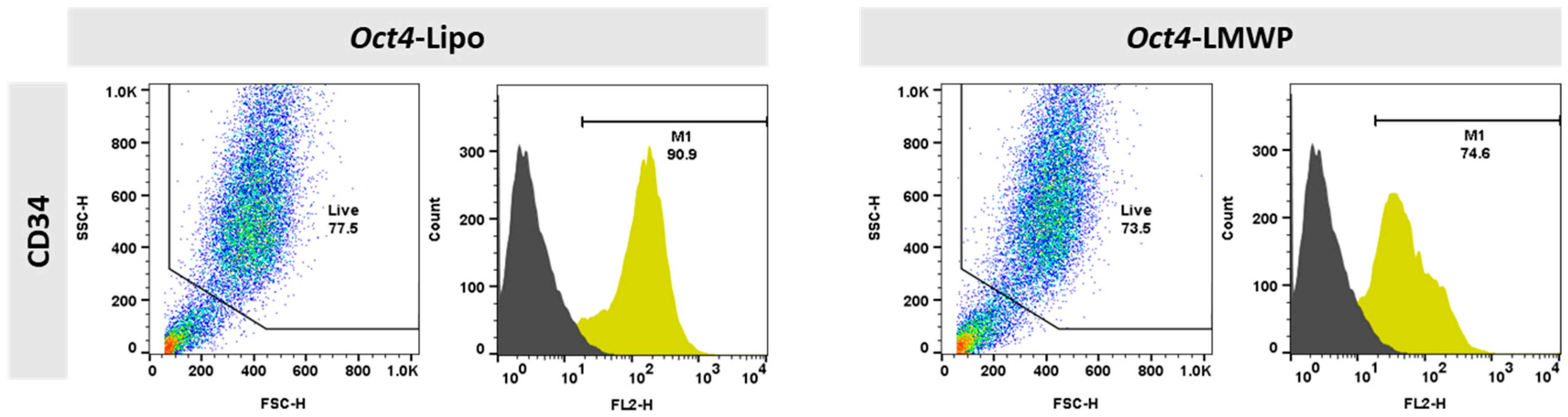 Ijms 22 09357 g005 550