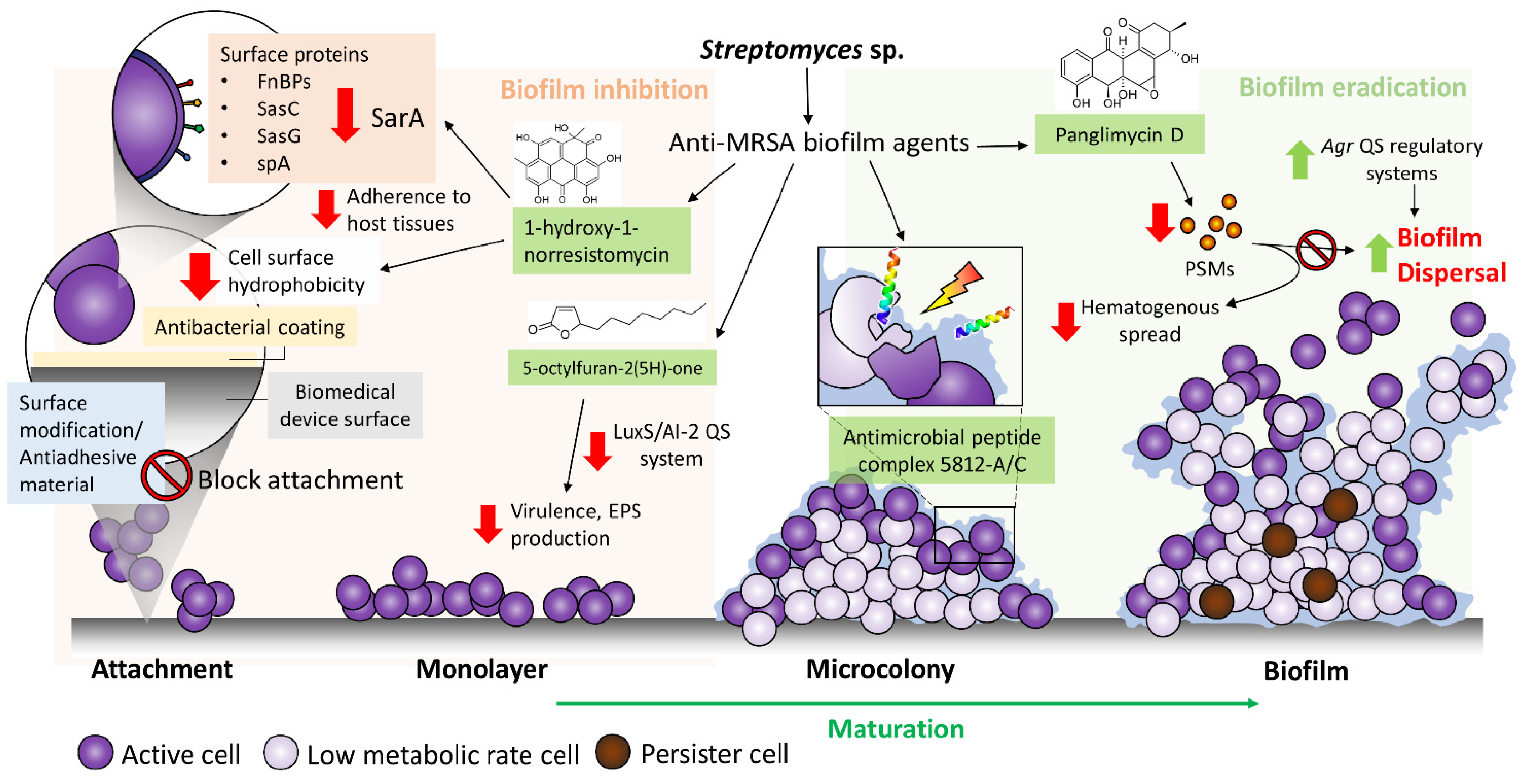 Ijms 22 09360 g002 Ijms 22 09360 g002