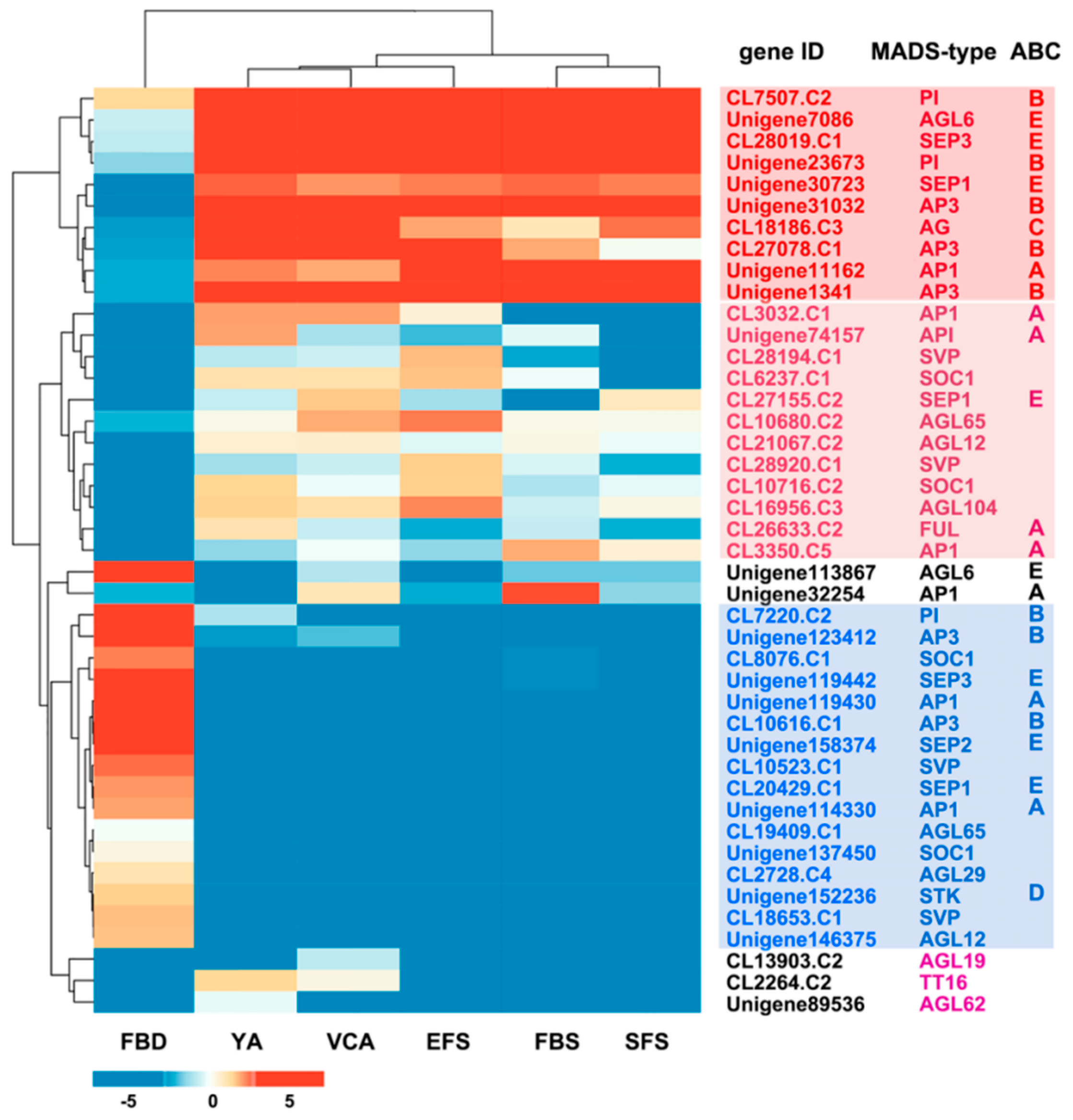 Ijms 22 09362 g002 Ijms 22 09362 g002