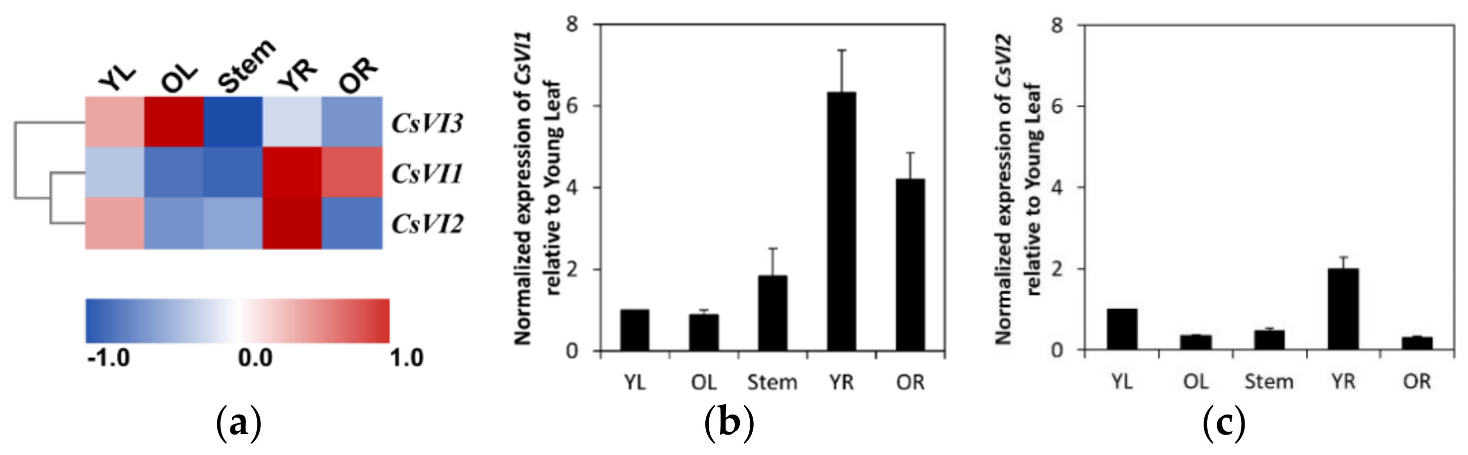 Ijms 22 09365 g004 Ijms 22 09365 g004