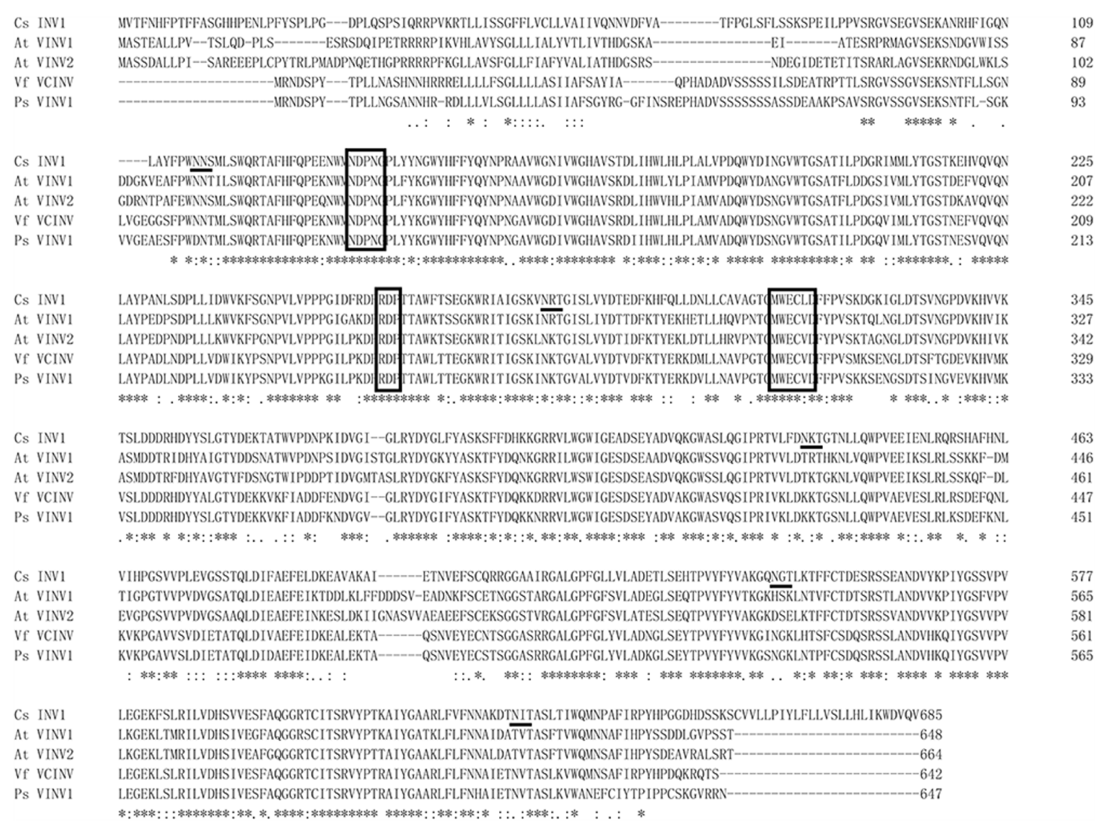 Ijms 22 09365 g007 Ijms 22 09365 g007