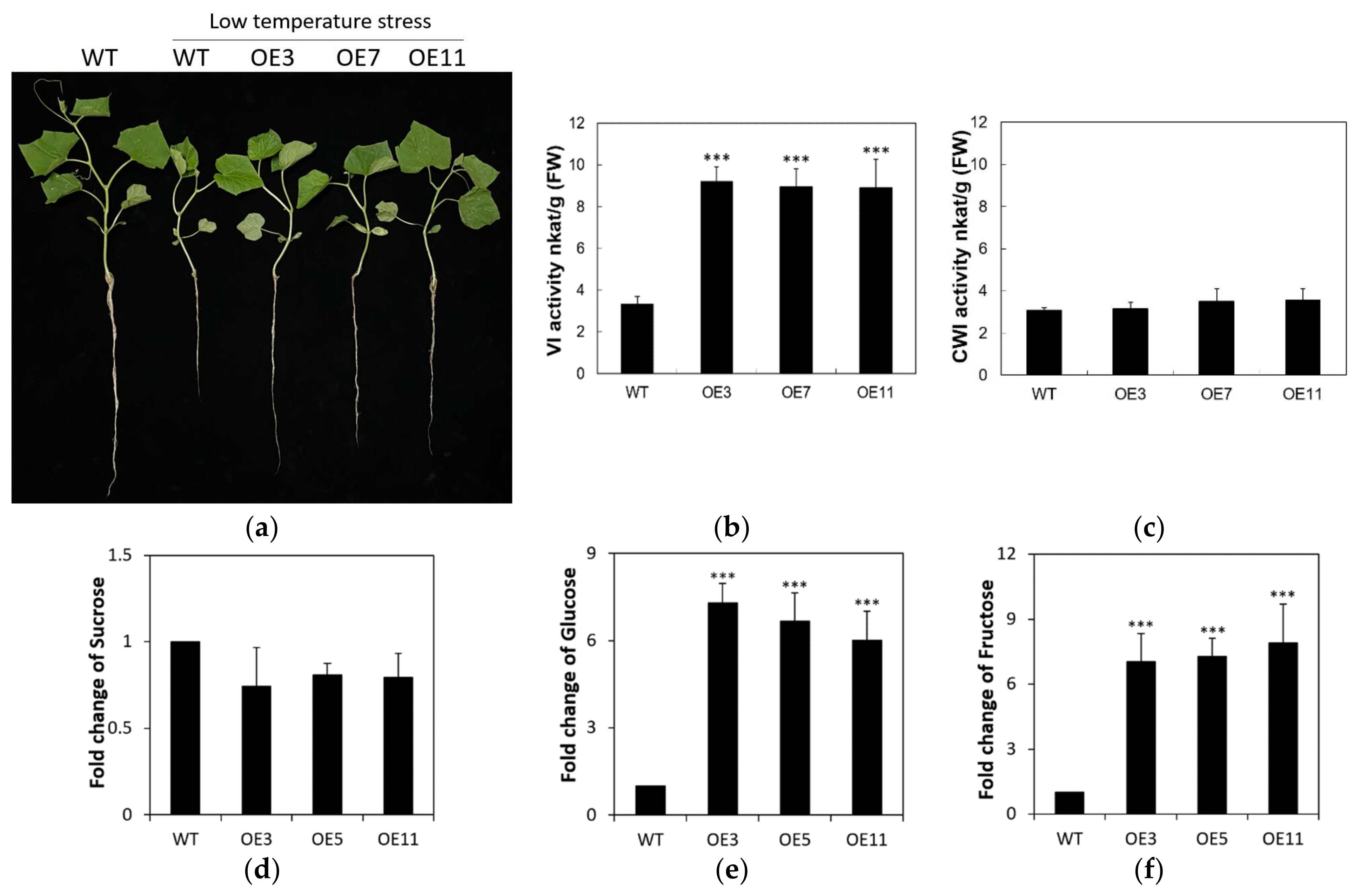 Ijms 22 09365 g010 Ijms 22 09365 g010