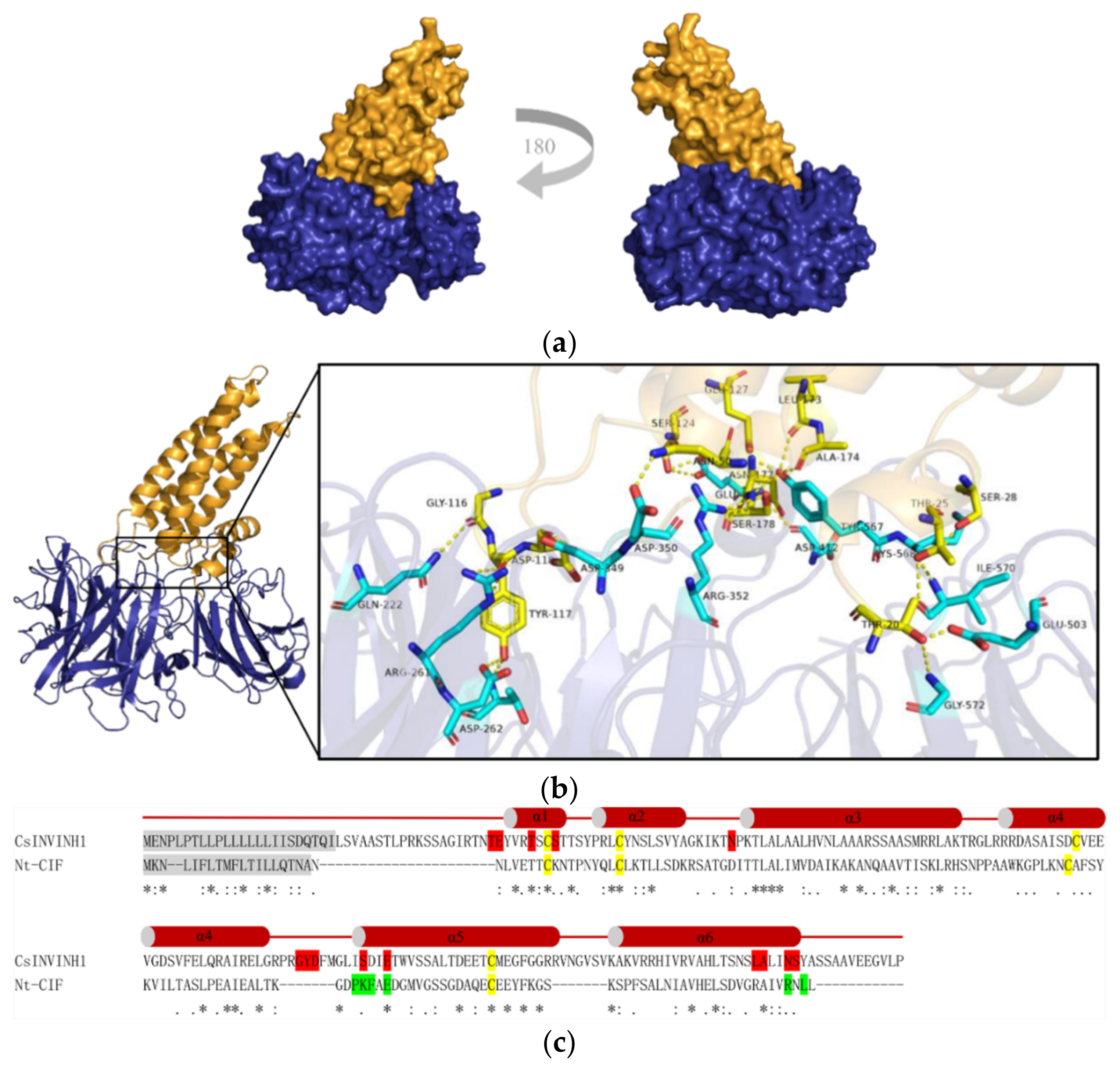 Ijms 22 09365 g011 Ijms 22 09365 g011