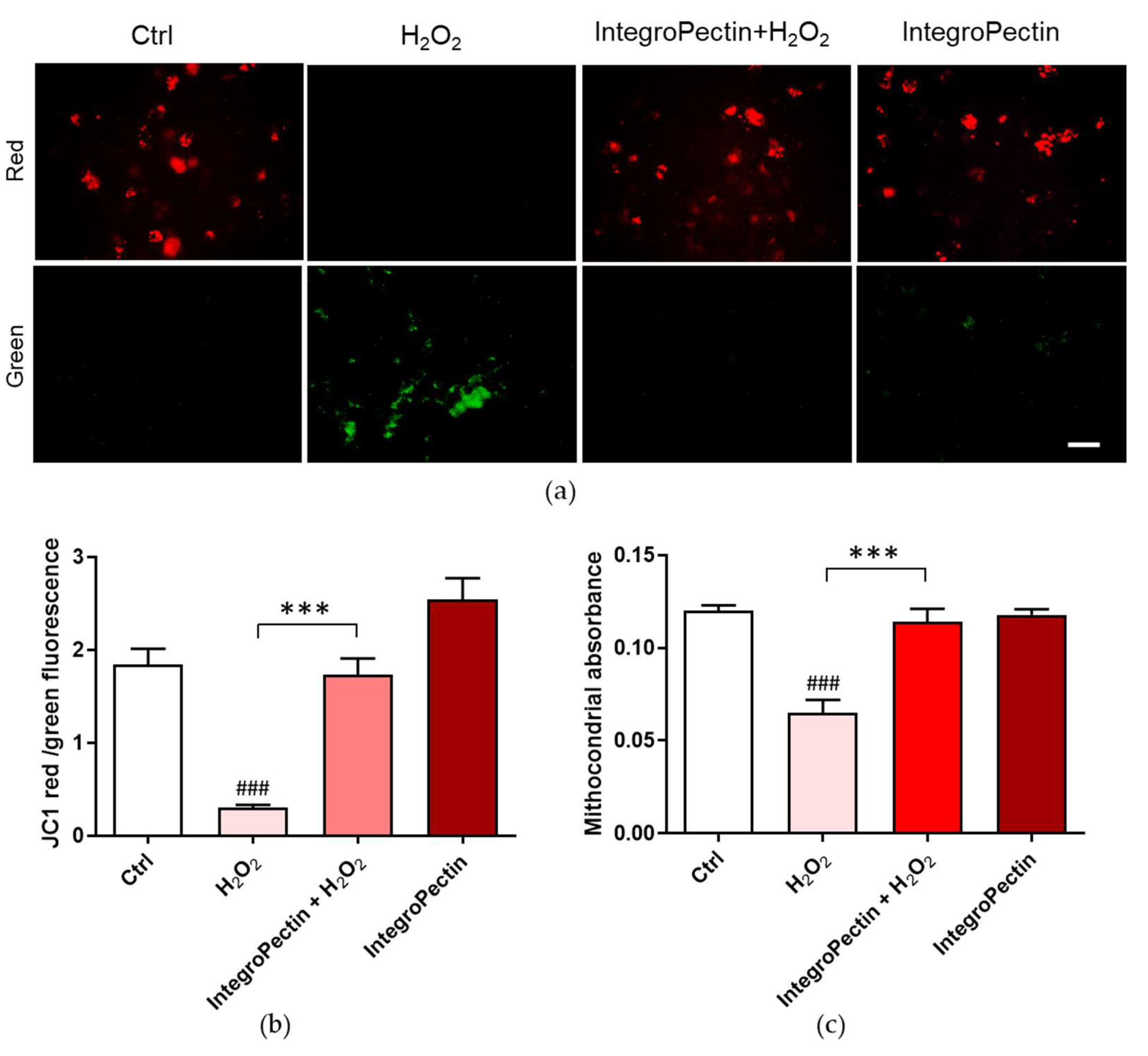 ser antioxidant sophyto anti-imbatranire