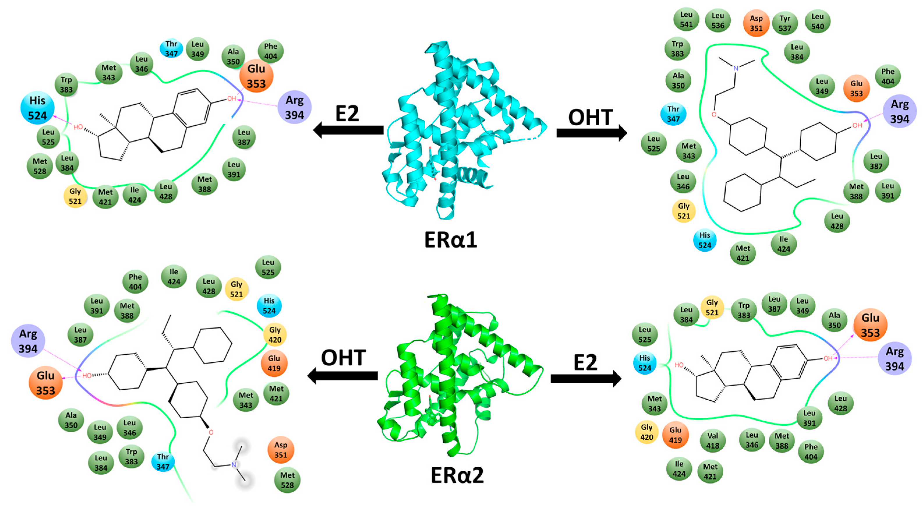 Ijms 22 09371 g003 550