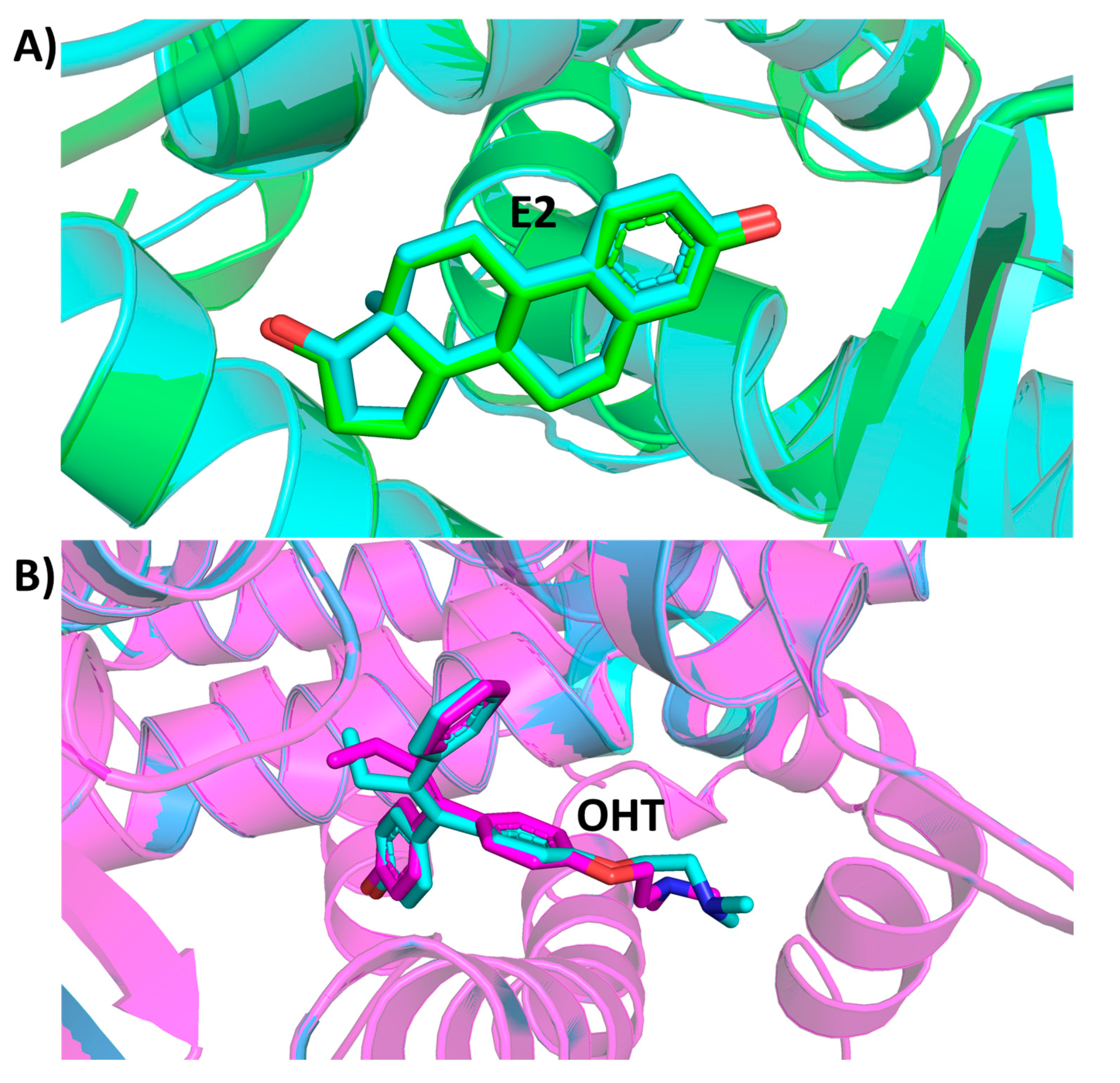 Ijms 22 09371 g008 550