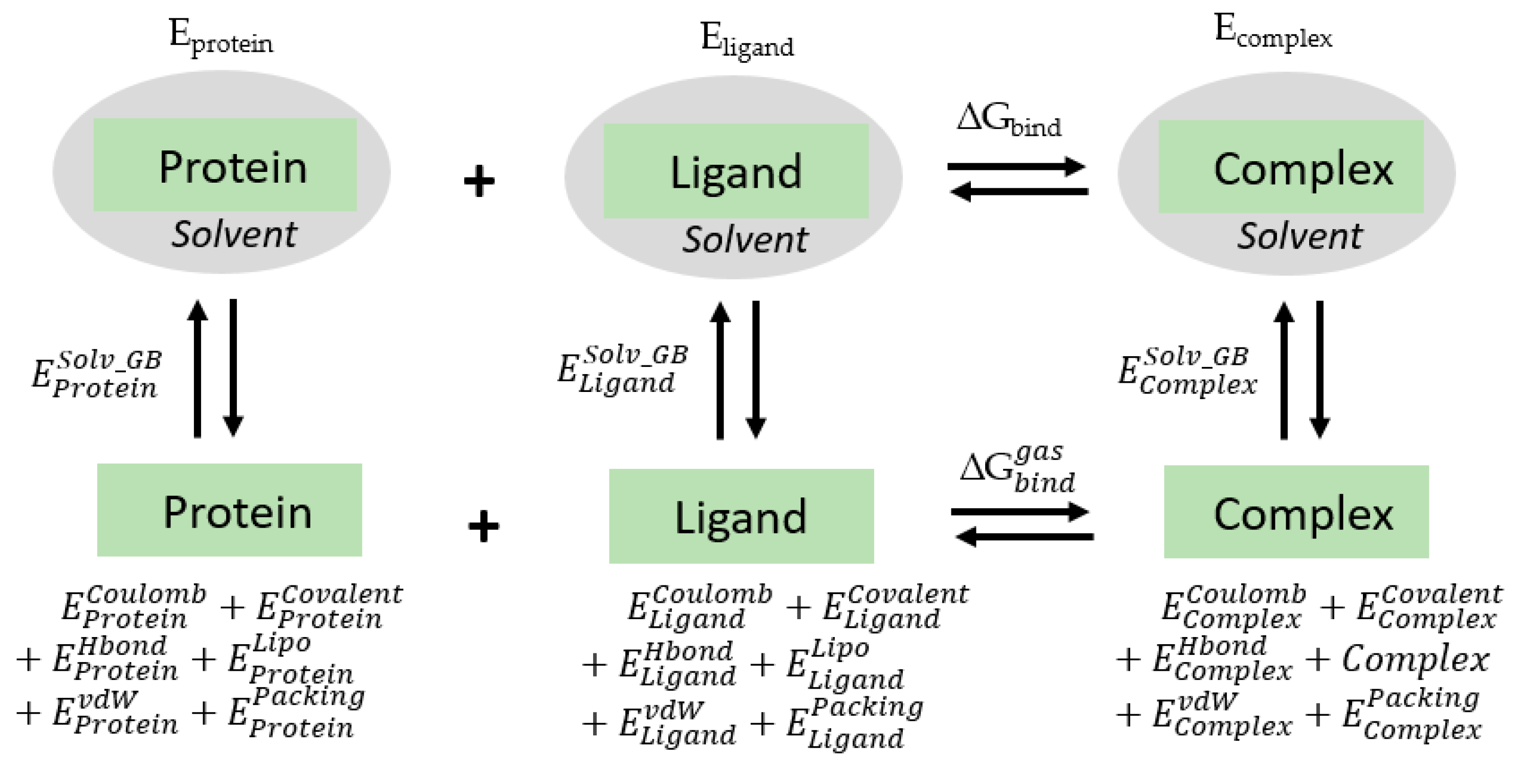 Ijms 22 09371 g012 550