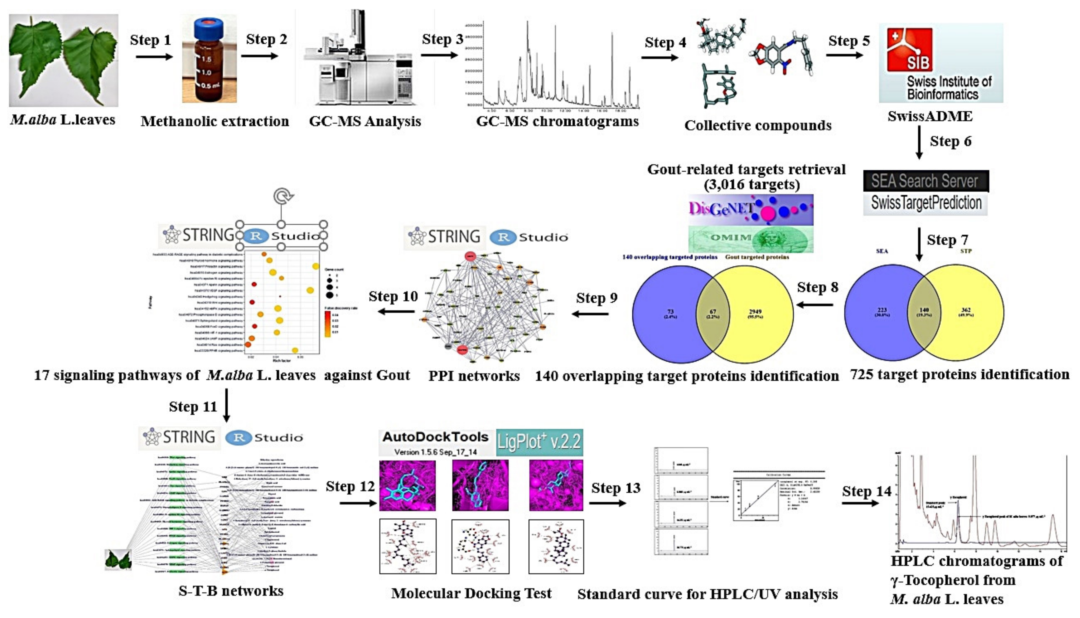 Ijms 22 09372 g001 Ijms 22 09372 g001