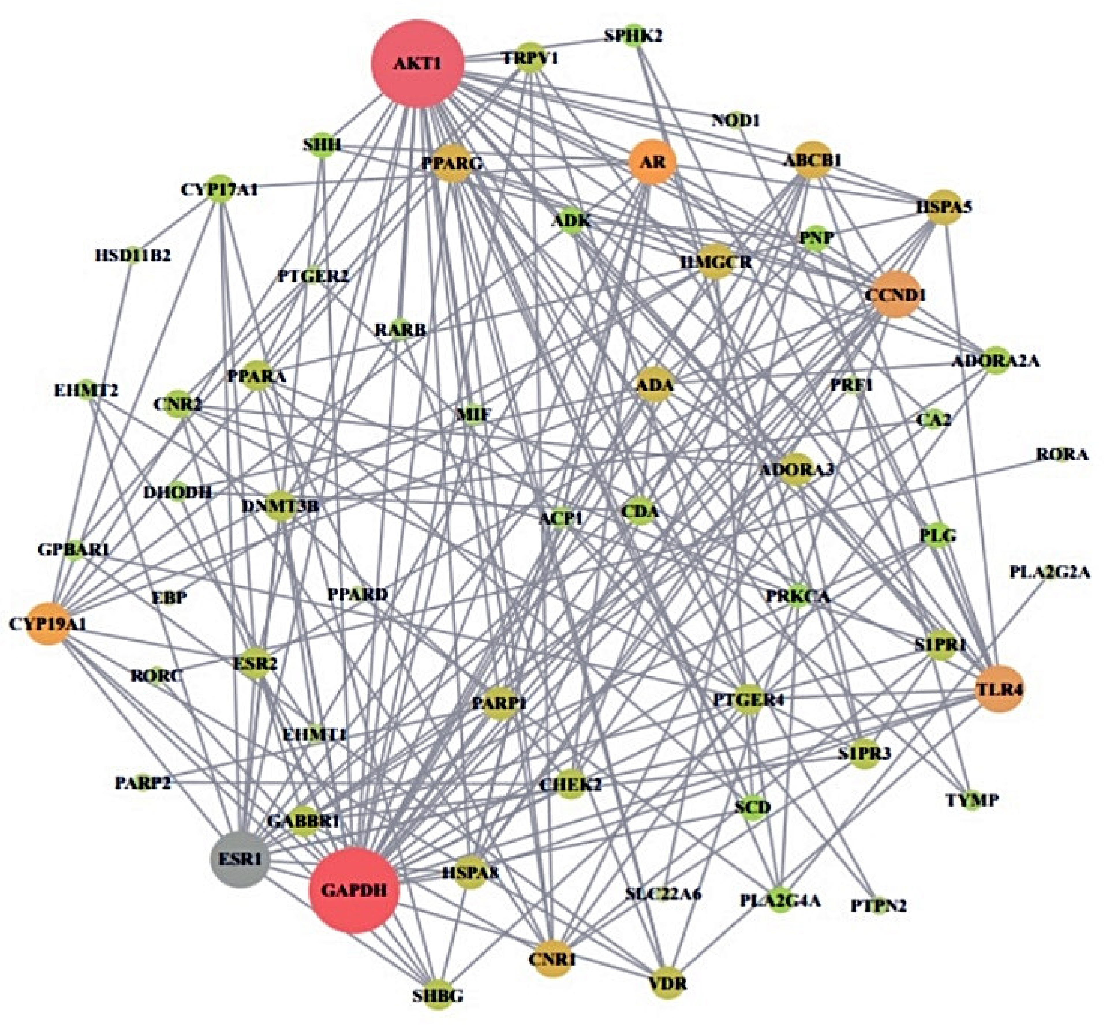 Ijms 22 09372 g004 Ijms 22 09372 g004