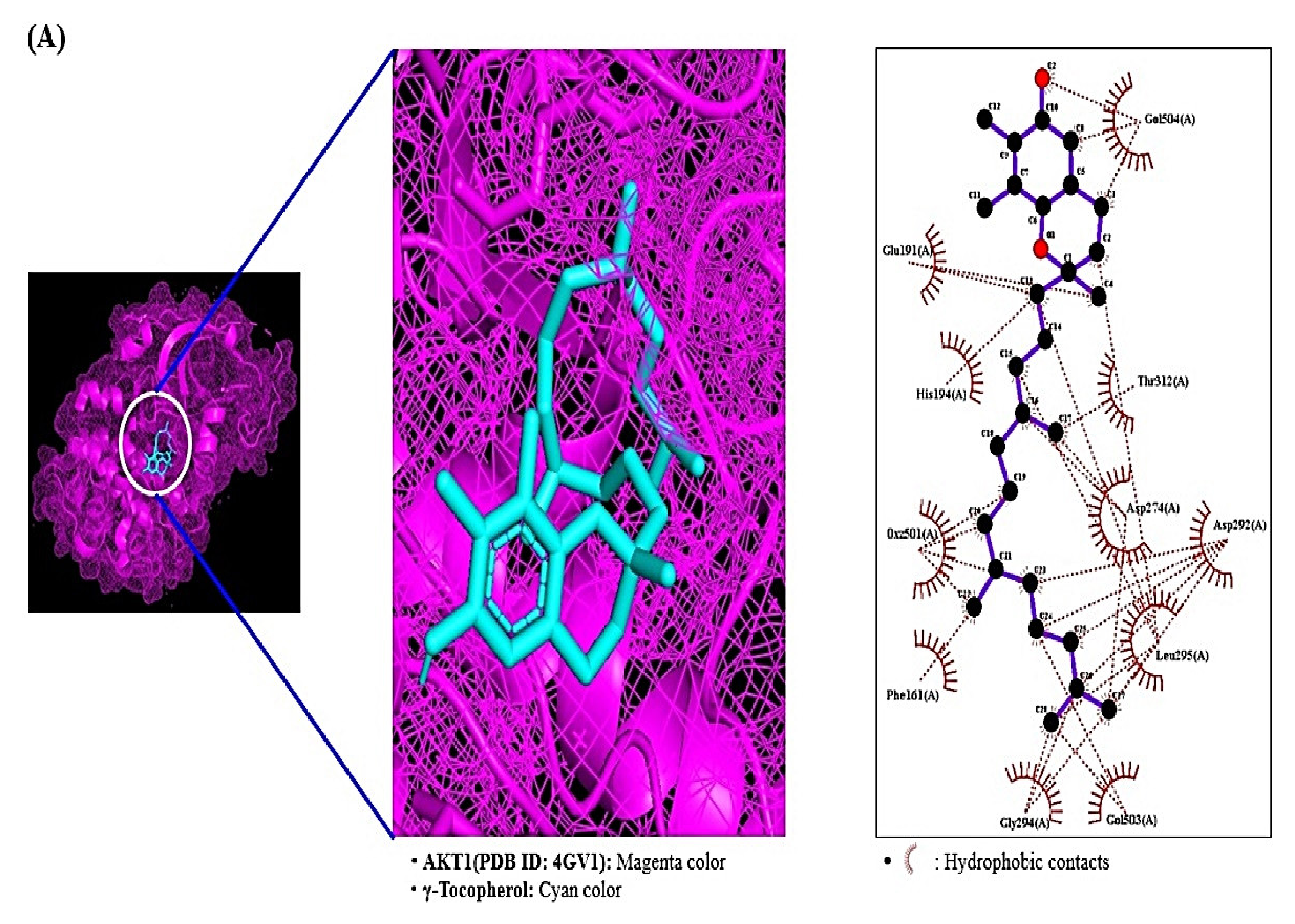 Ijms 22 09372 g007a Ijms 22 09372 g007a