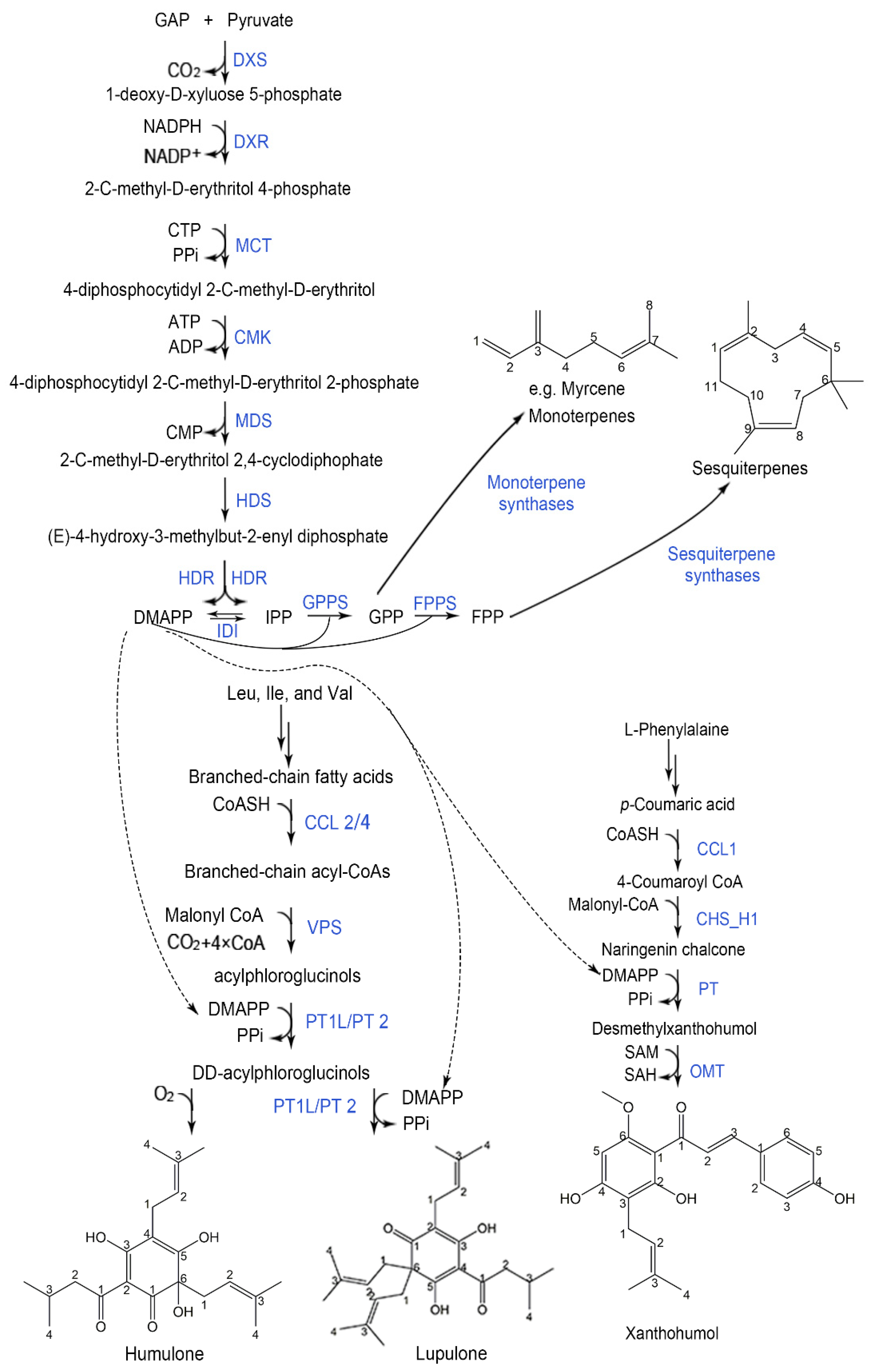 Ijms 22 09373 g001 Ijms 22 09373 g001