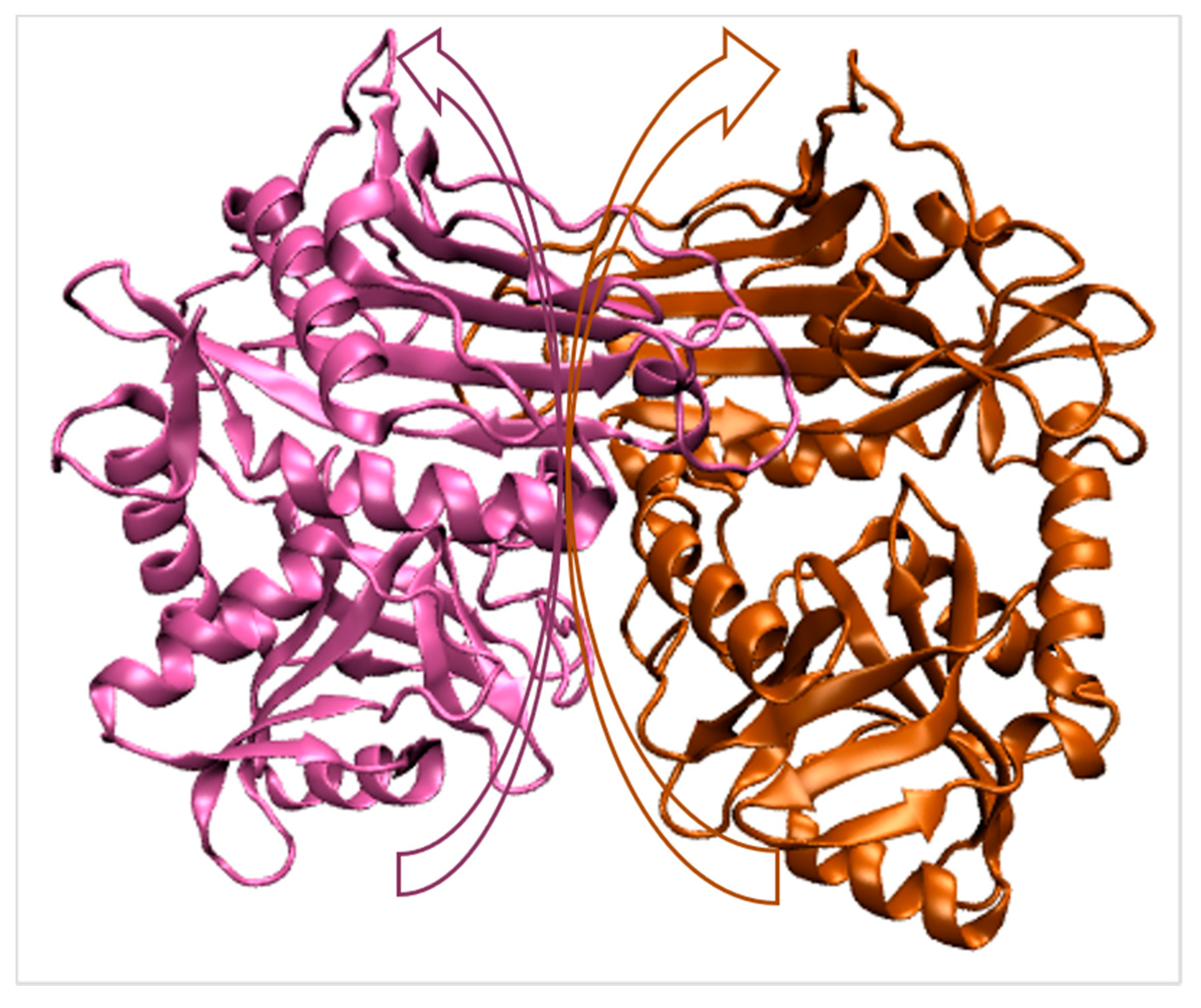 Ijms 22 09373 g002 Ijms 22 09373 g002