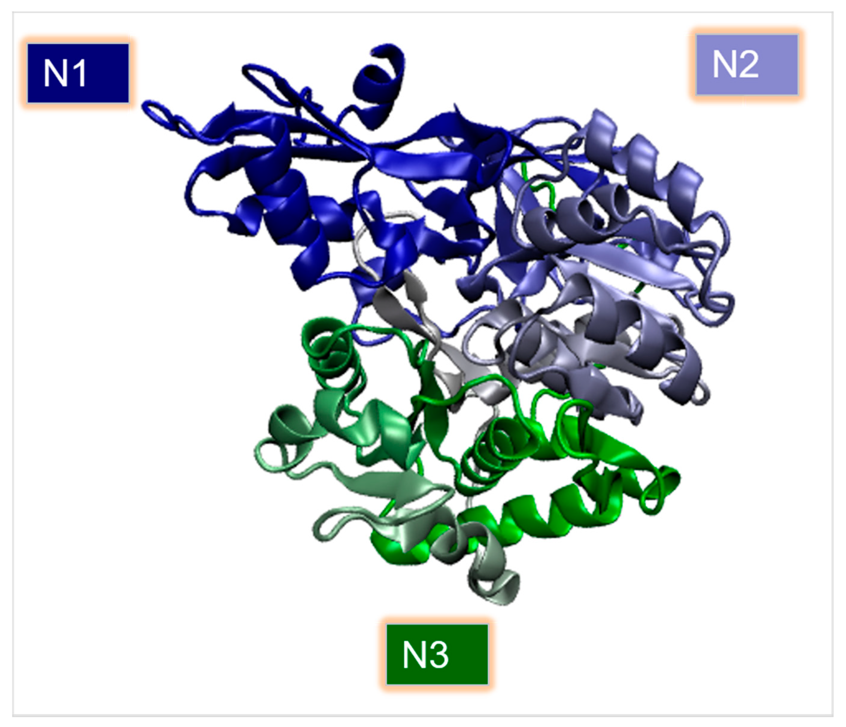 Ijms 22 09373 g004 Ijms 22 09373 g004