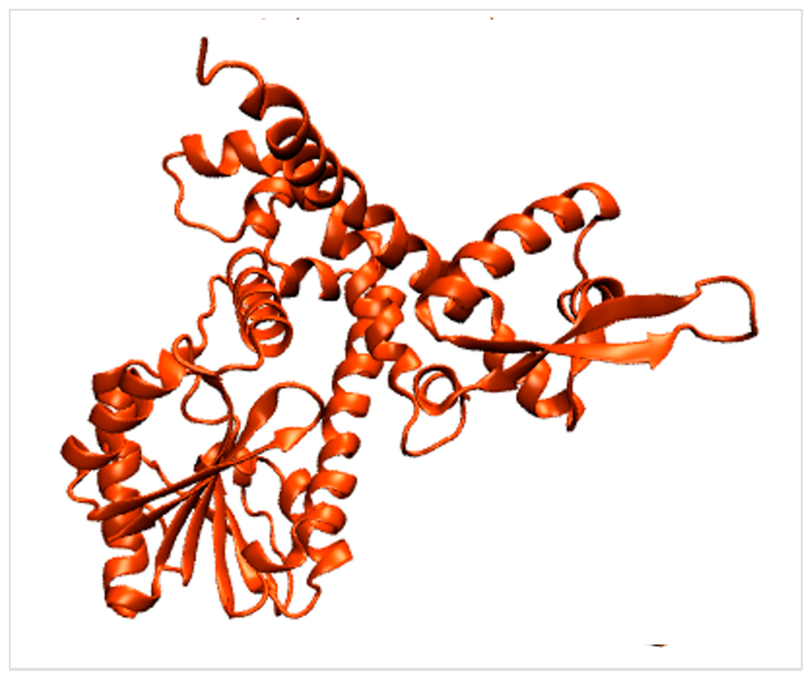 Ijms 22 09373 g006 Ijms 22 09373 g006