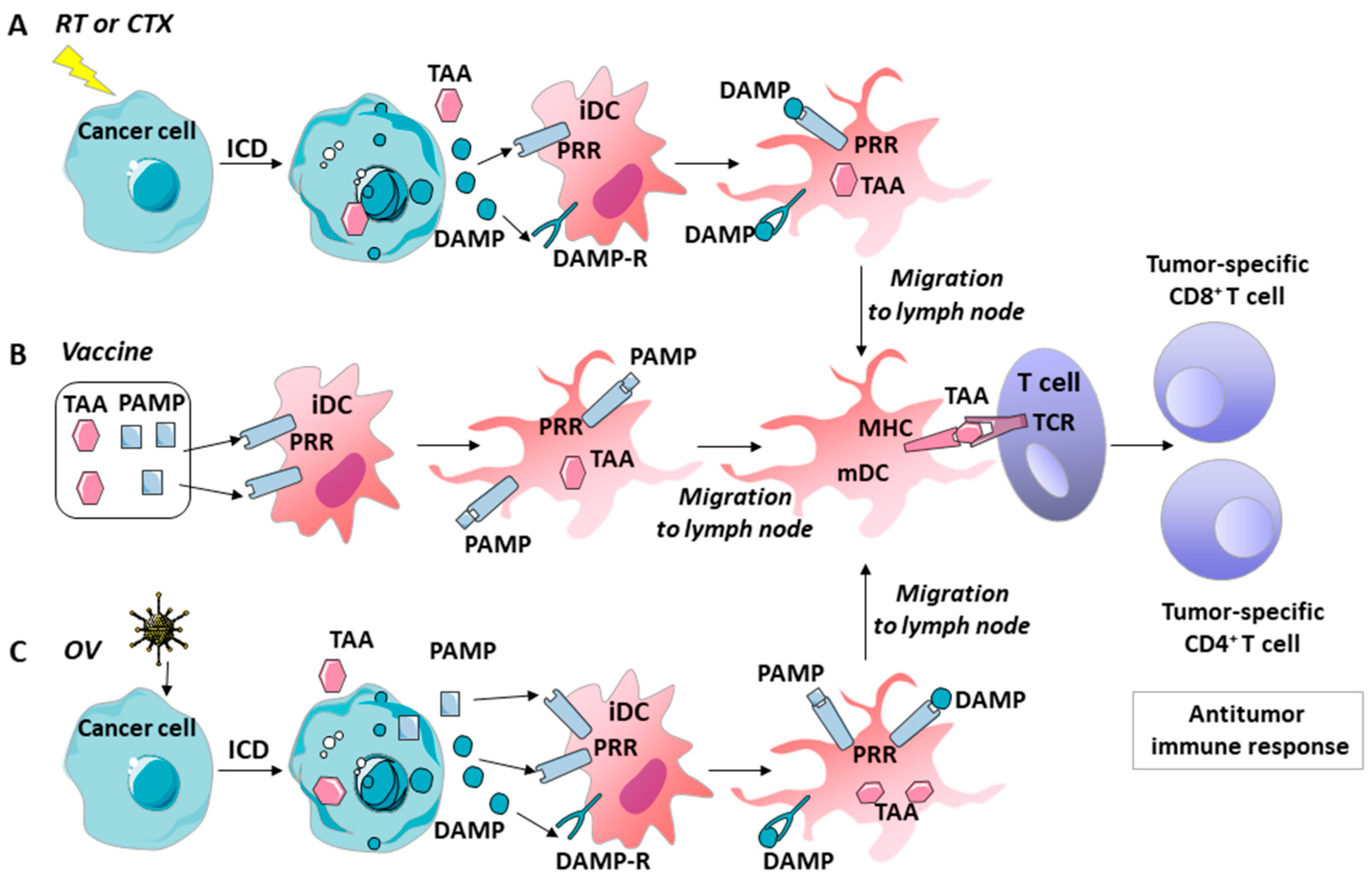 Ijms 22 09376 g002 Ijms 22 09376 g002
