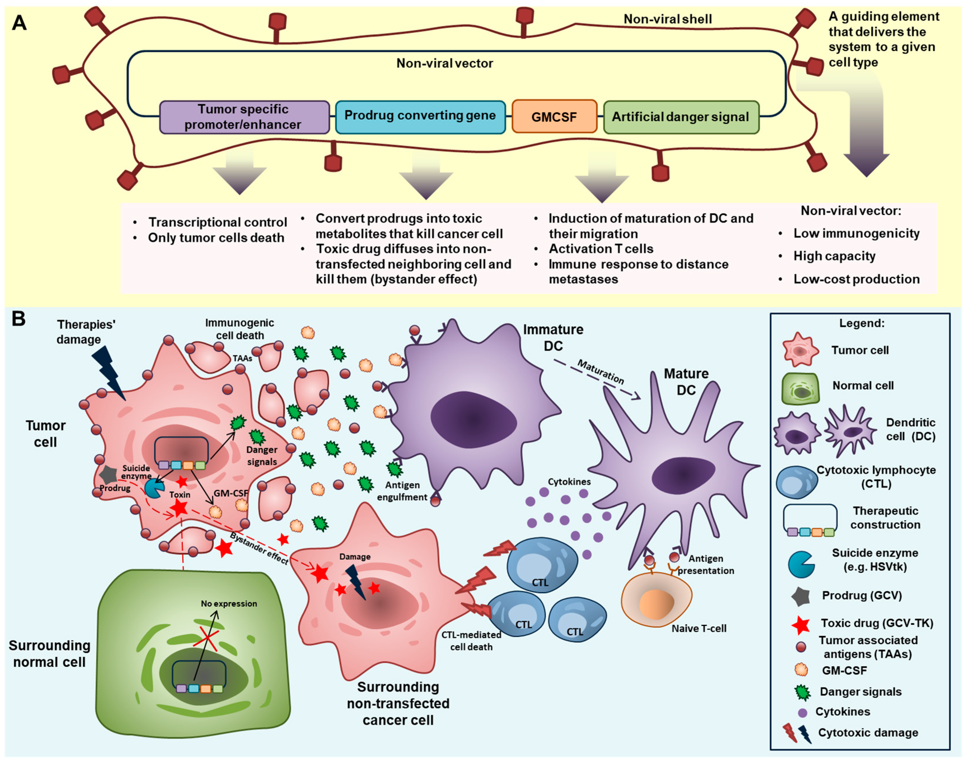 Ijms 22 09376 g003 Ijms 22 09376 g003