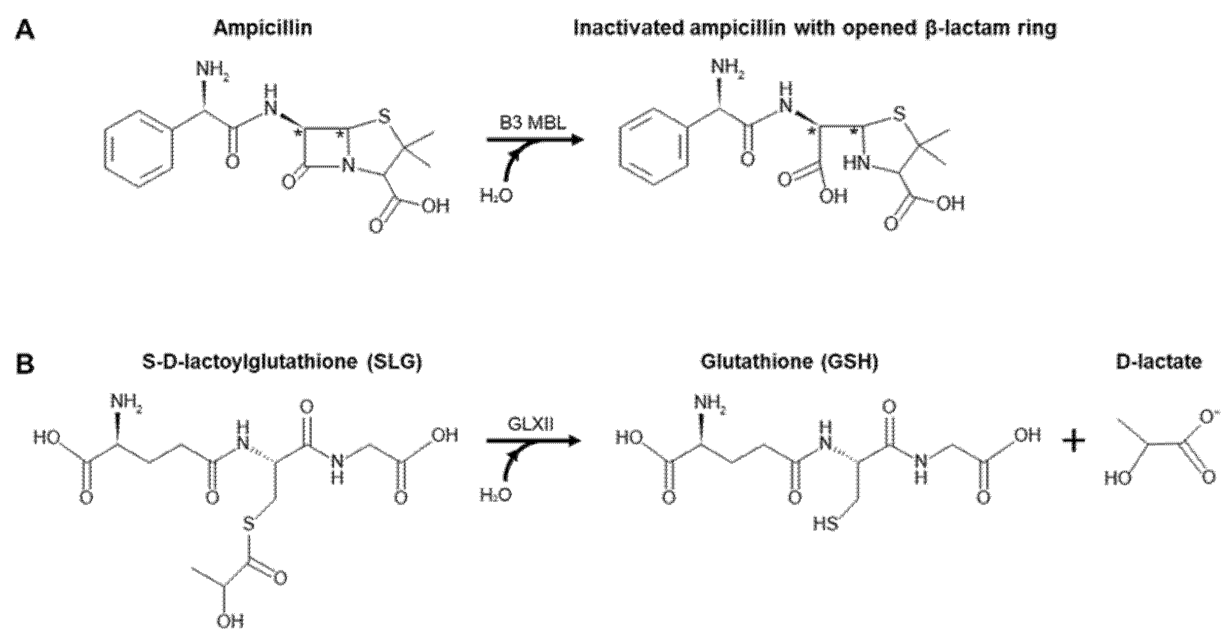 Ijms 22 09377 g001 Ijms 22 09377 g001