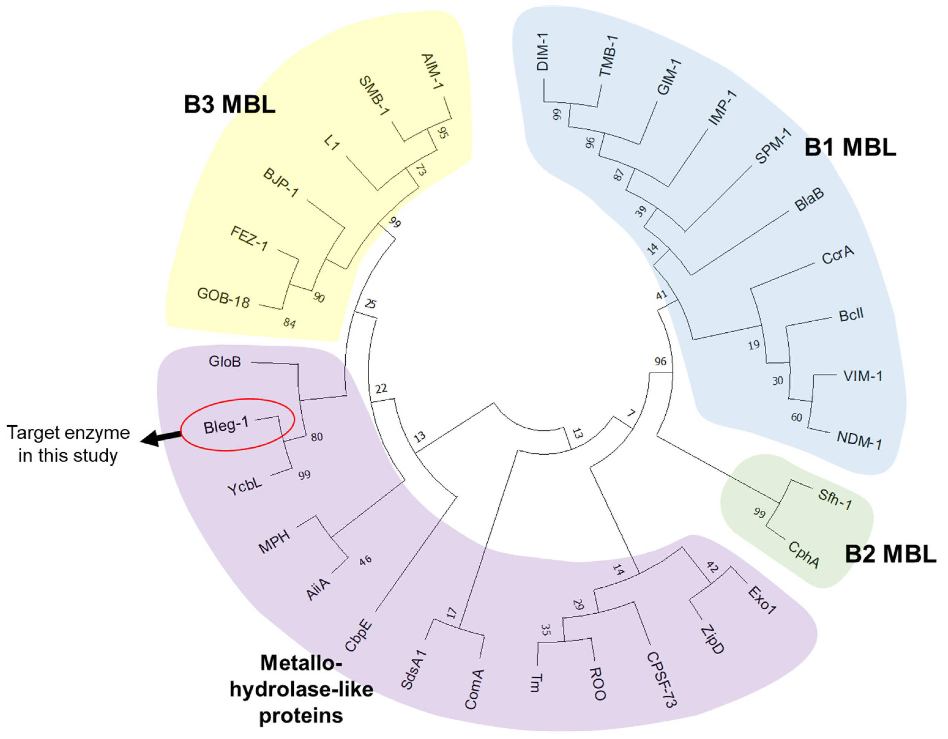 Ijms 22 09377 g002 Ijms 22 09377 g002