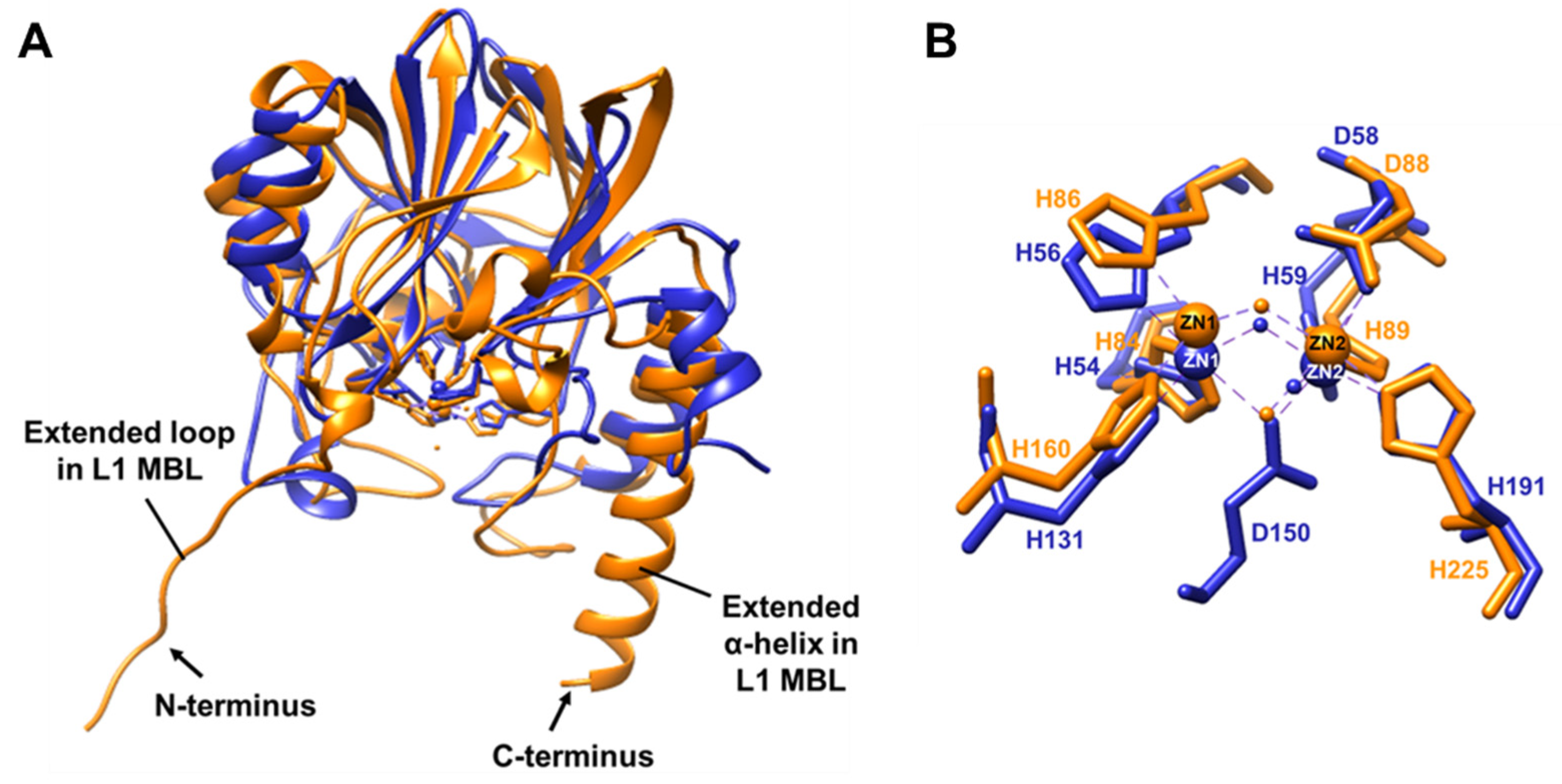 Ijms 22 09377 g006 Ijms 22 09377 g006