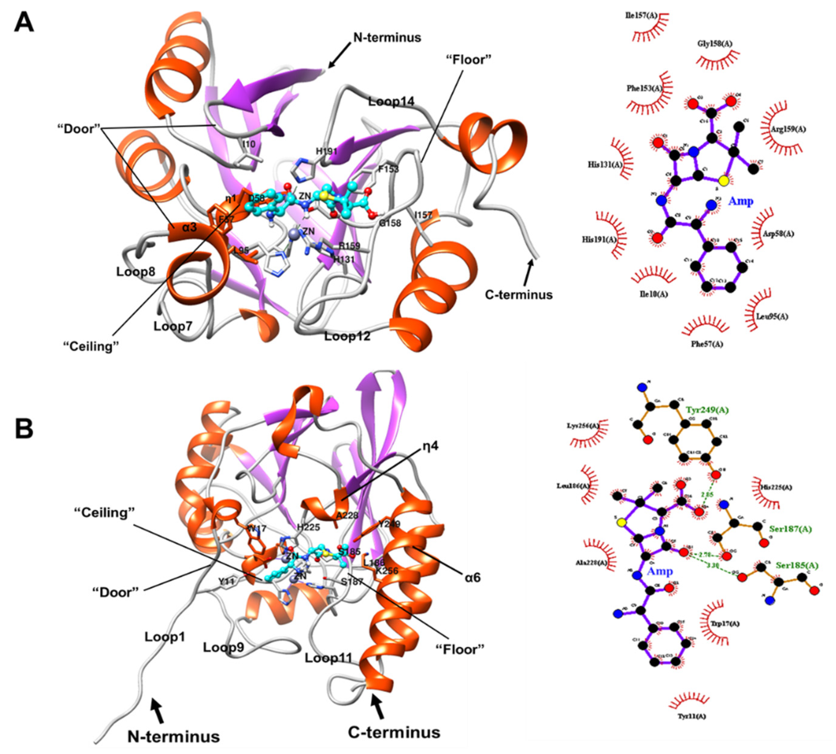Ijms 22 09377 g010 Ijms 22 09377 g010