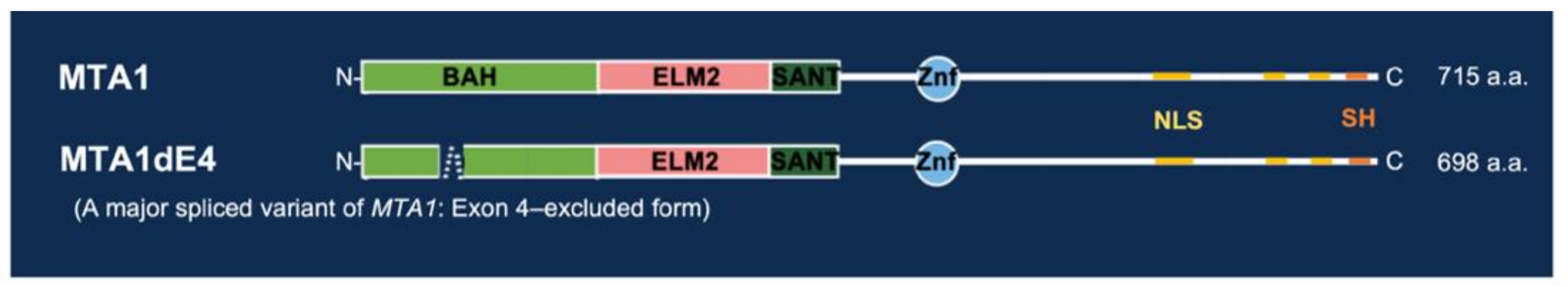 Ijms 22 09380 g003 Ijms 22 09380 g003
