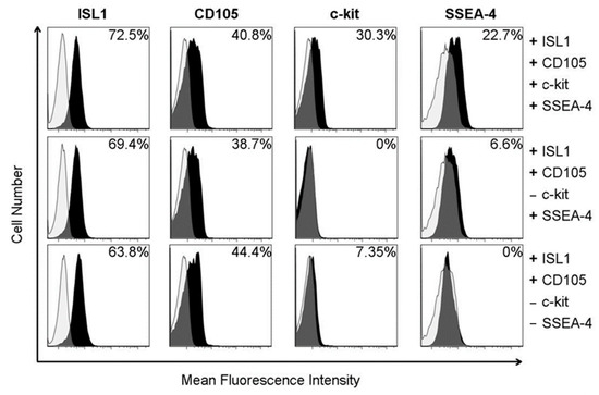 Ijms Free Full Text Long Term Hypoxia Maintains A State Of Dedifferentiation And Enhanced Stemness In Fetal Cardiovascular Progenitor Cells Html Ijms Free Full Text Long Term Hypoxia Maintains A State Of Dedifferentiation And Enhanced Stemness In Fetal Cardiovascular Progenitor Cells Html