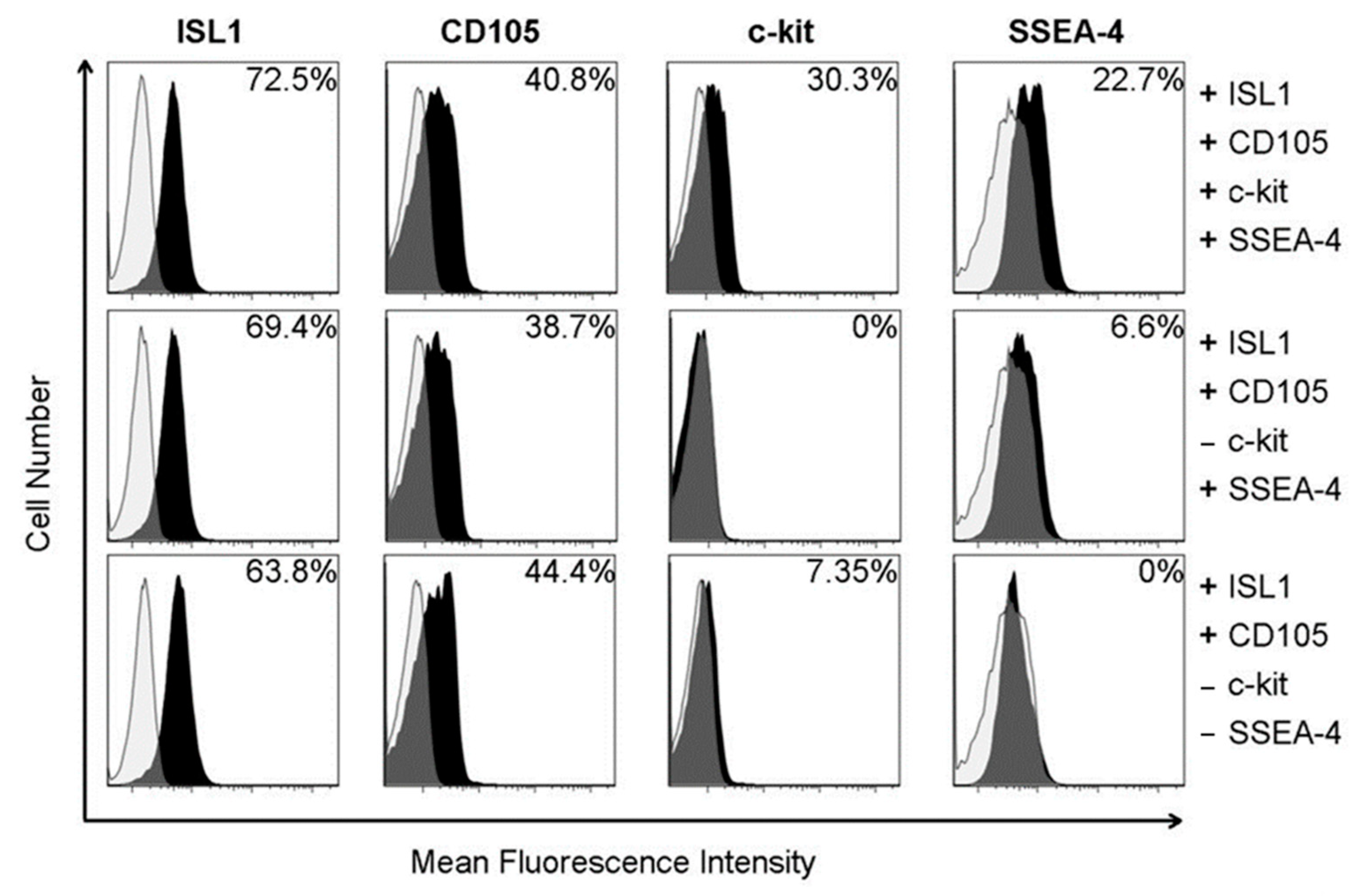 Ijms 22 09382 g001 Ijms 22 09382 g001