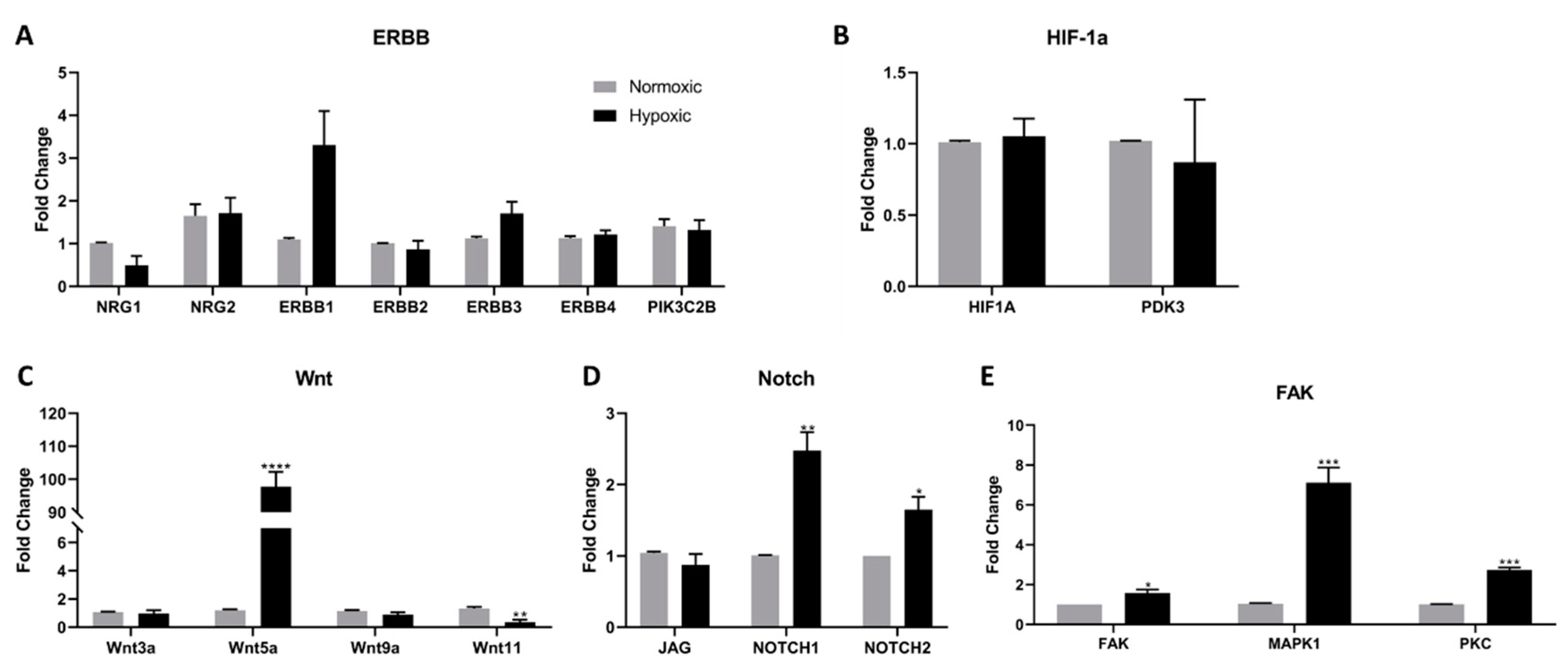 Ijms 22 09382 g002 Ijms 22 09382 g002