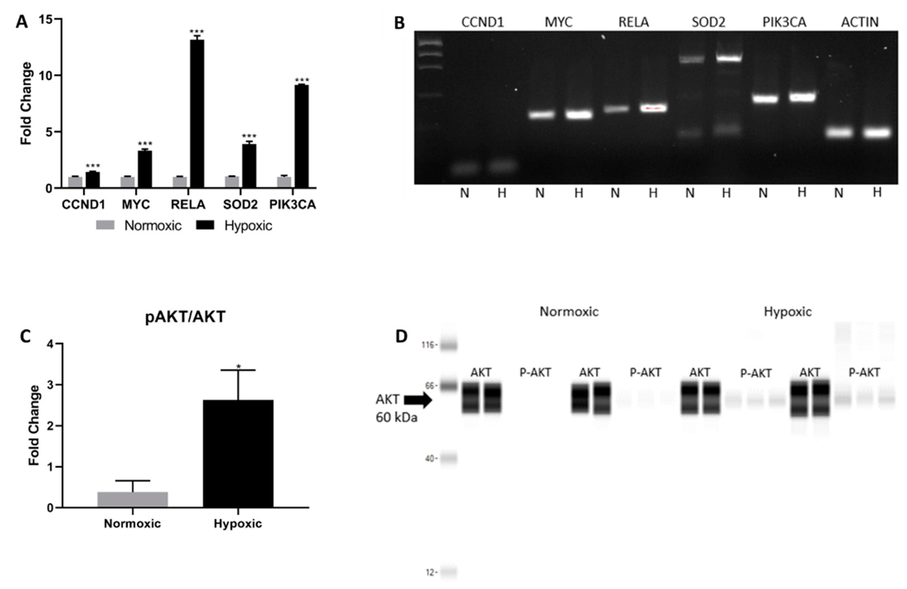 Ijms 22 09382 g003 Ijms 22 09382 g003
