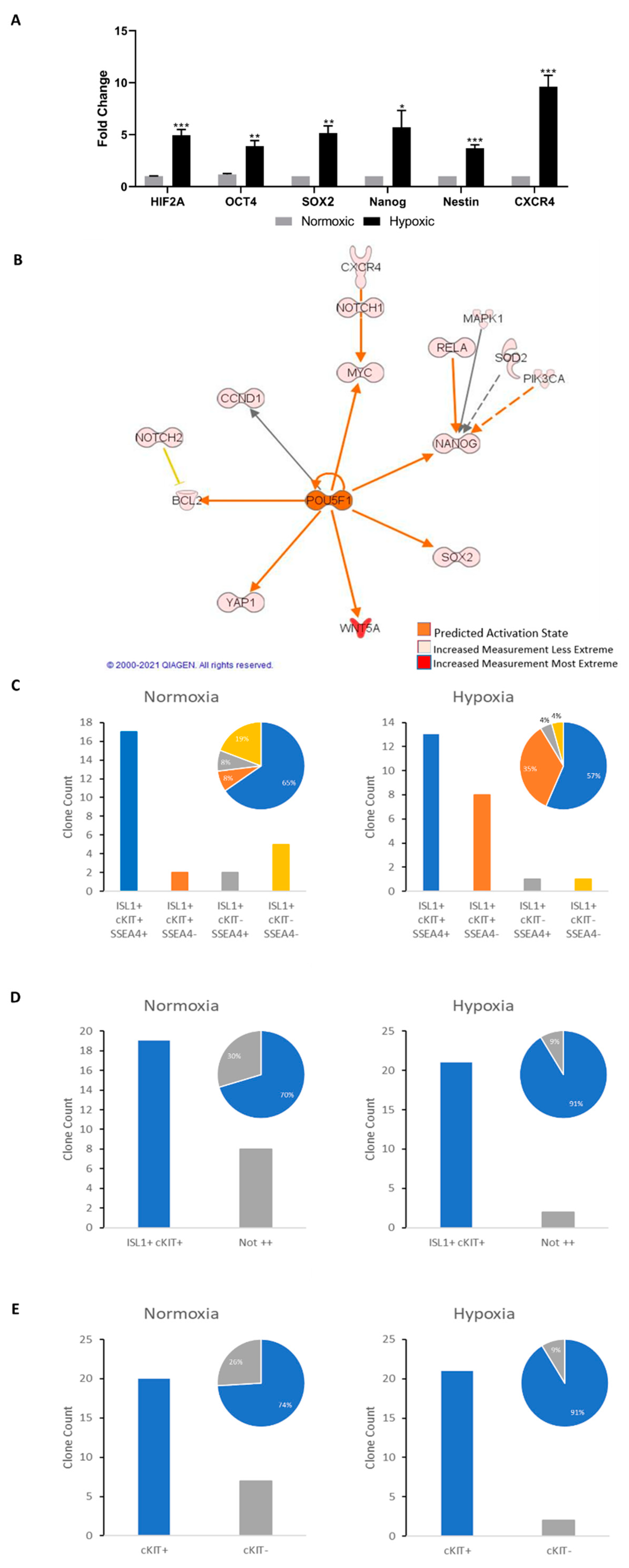 Ijms 22 09382 g005 Ijms 22 09382 g005