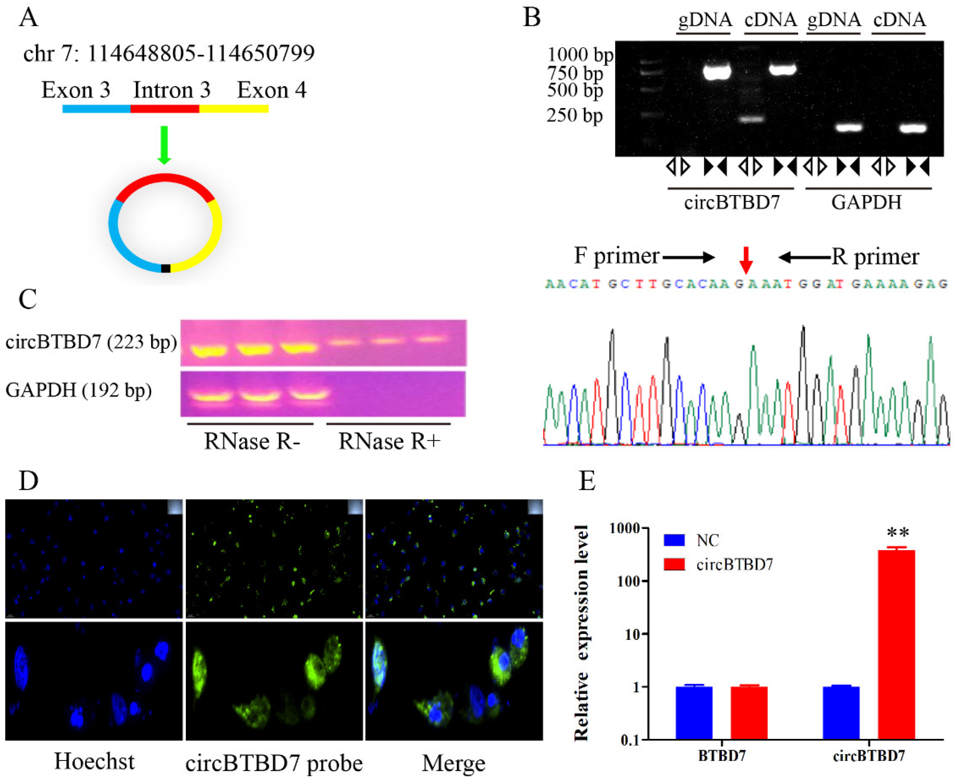 Ijms 22 09385 g001 550