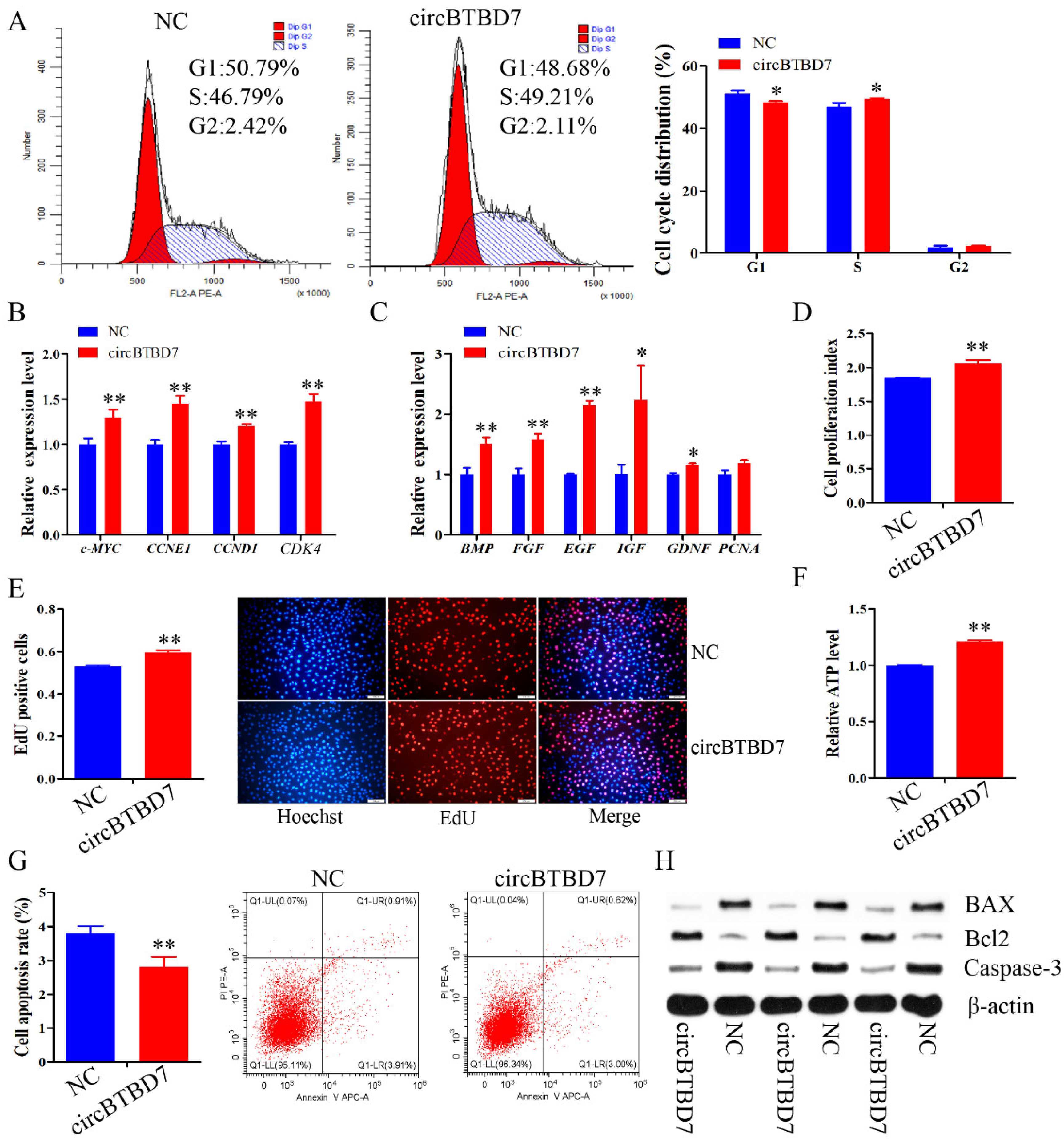Ijms 22 09385 g002 550