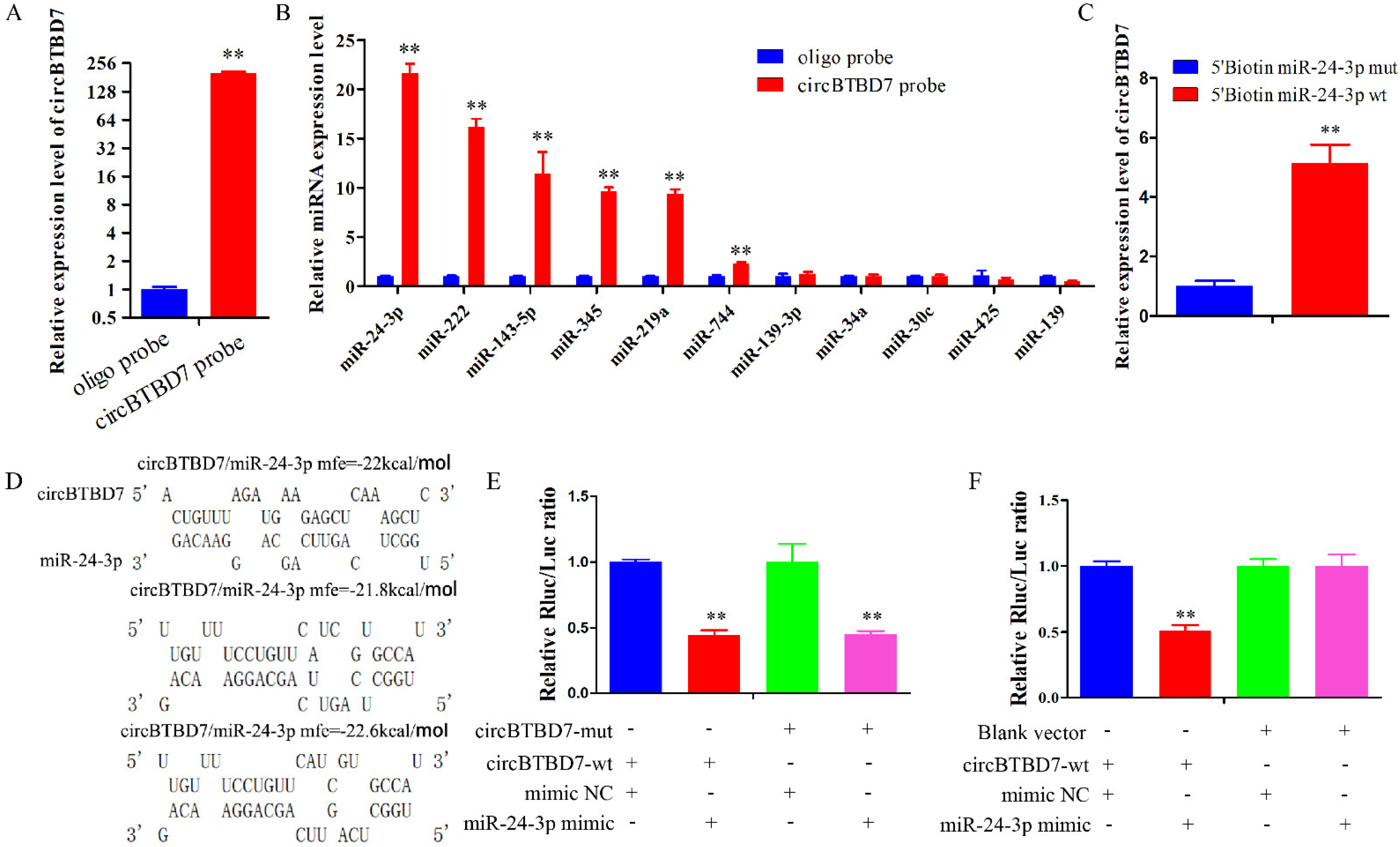 Ijms 22 09385 g003 550
