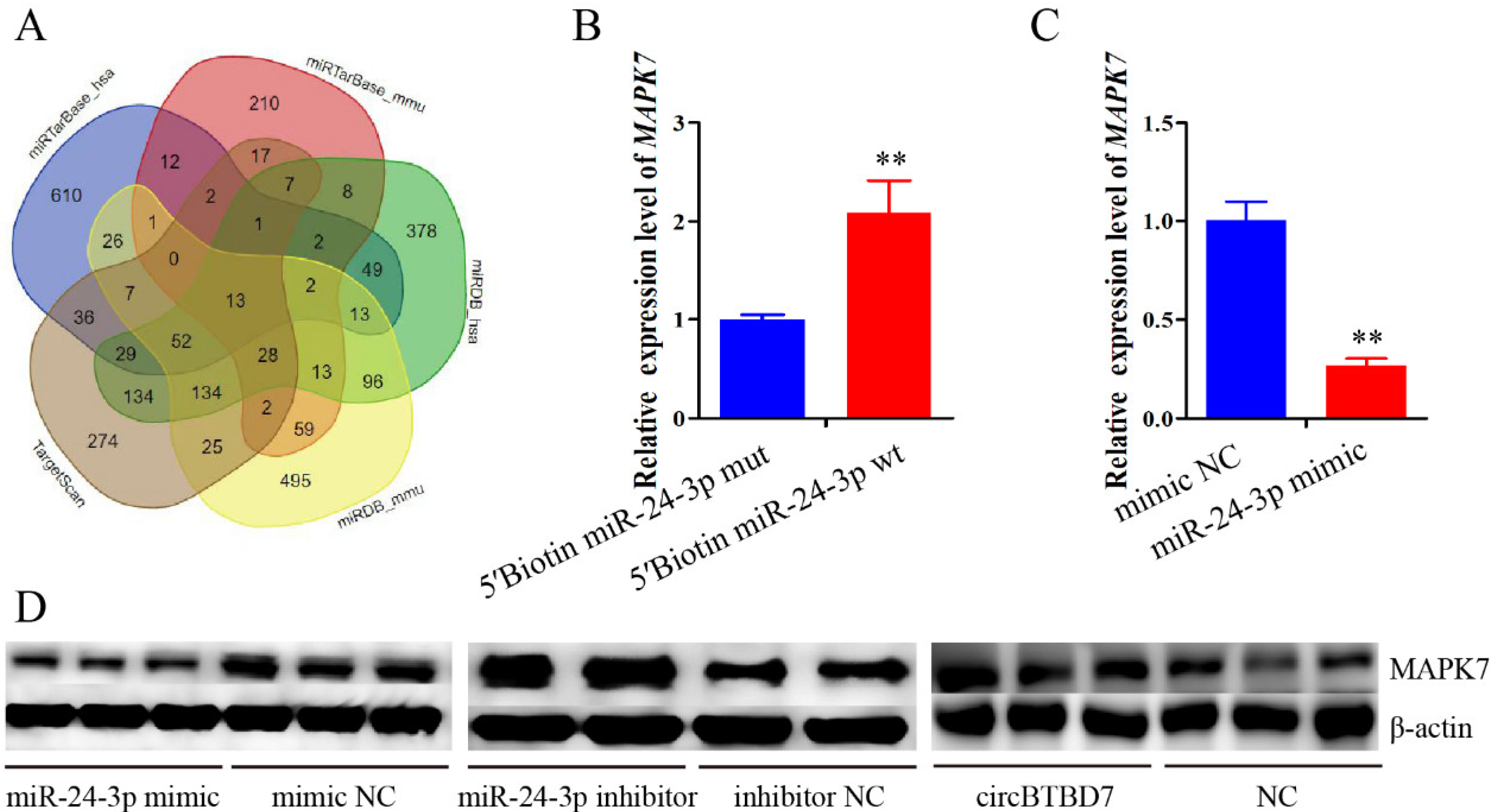 Ijms 22 09385 g006 550