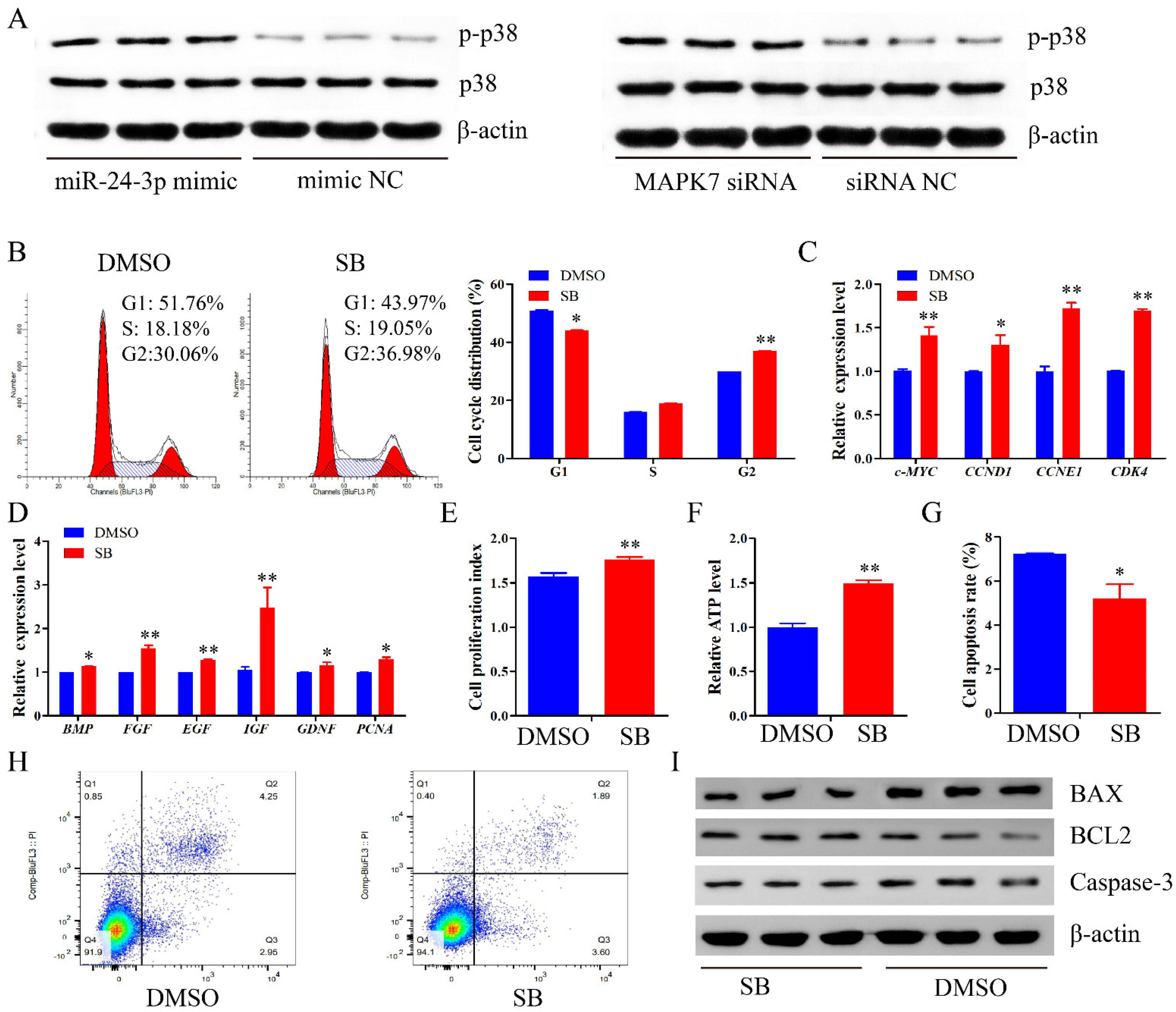 Ijms 22 09385 g009 550